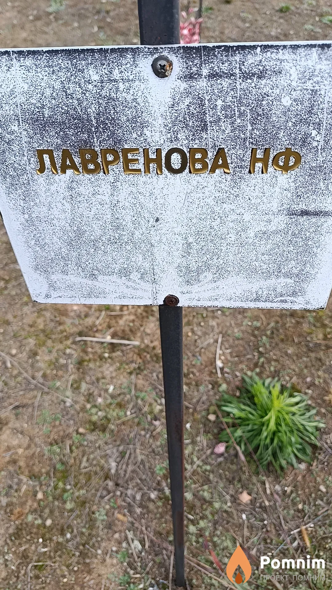 Лавренова Н. Ф.