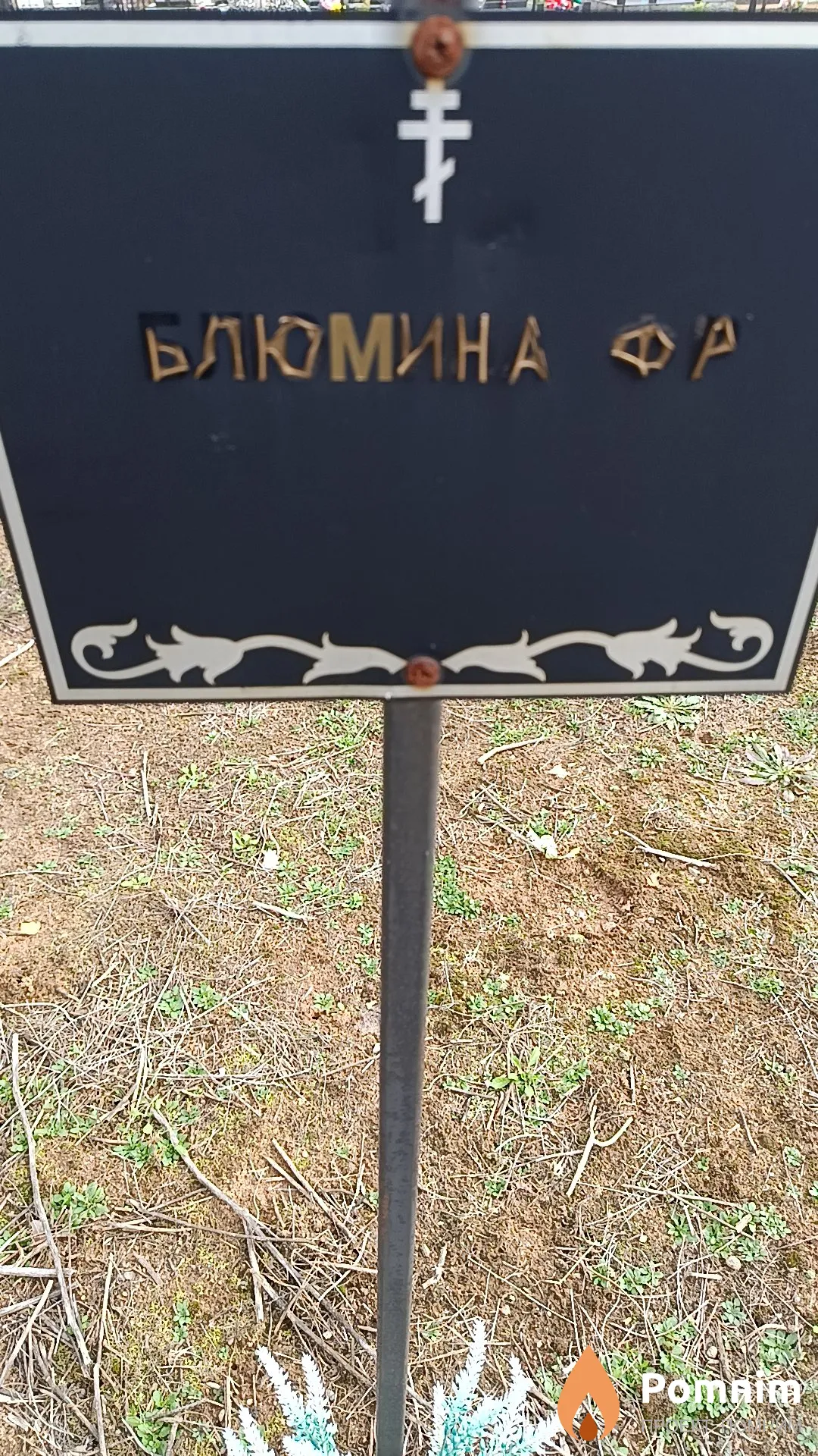 Блюмина Ф. Р.