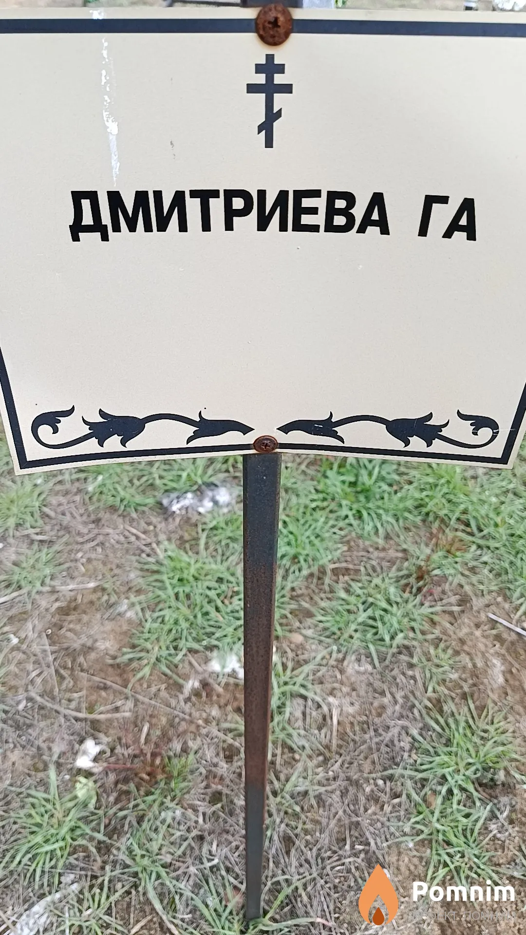 Дмитриева Г. А.