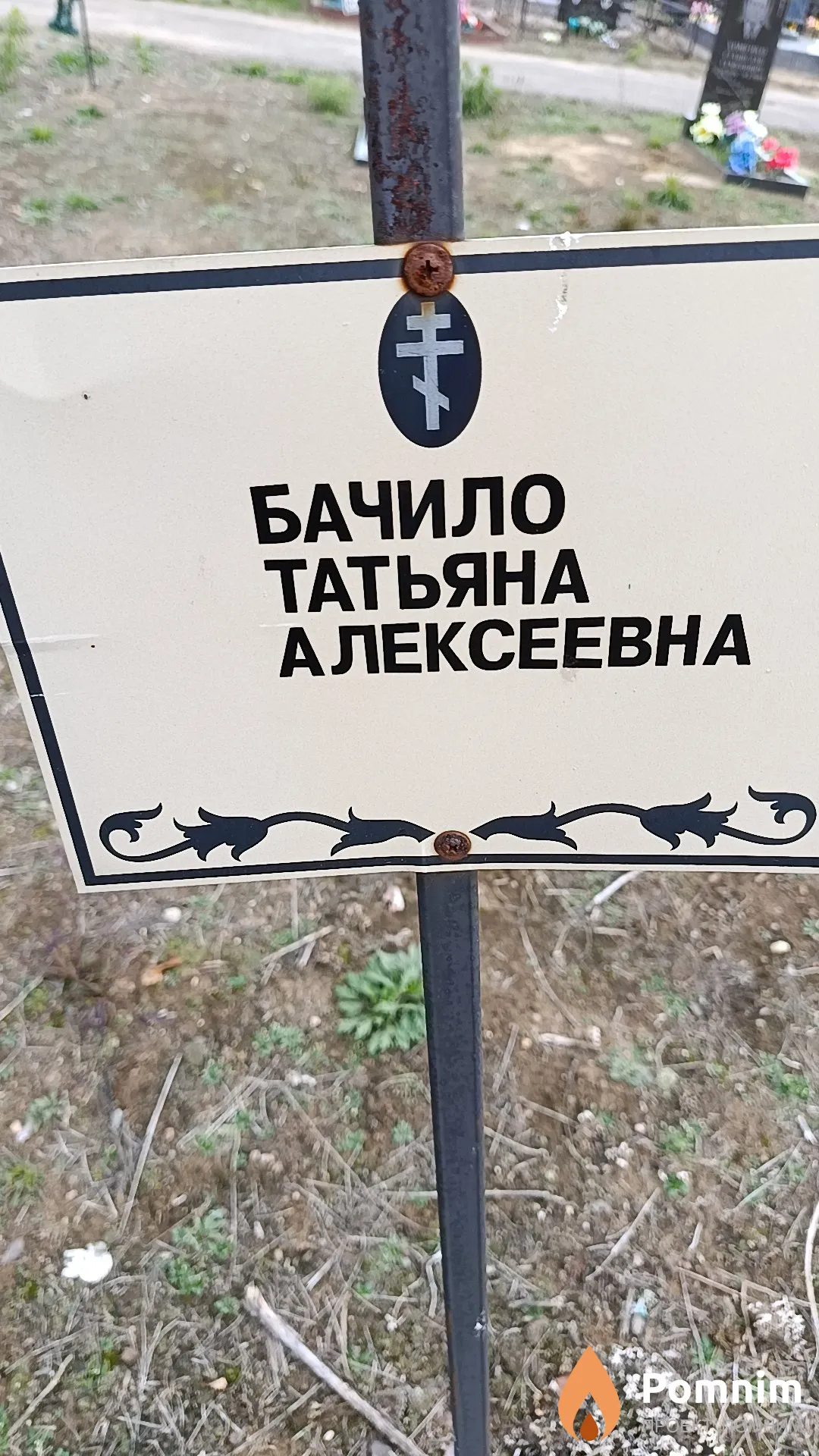 Бачило Татьяна Алексеевна