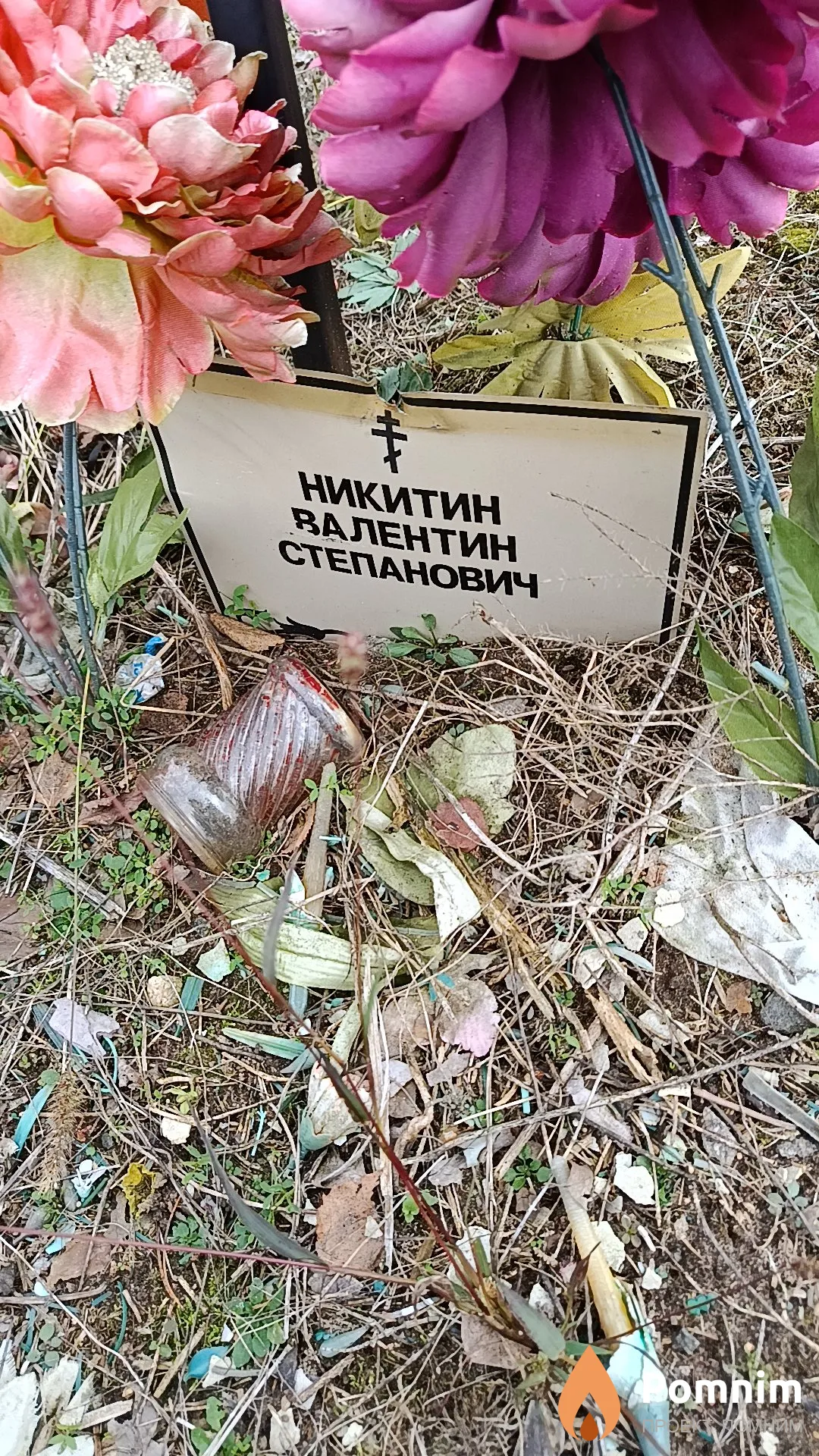 Никитин Валентин Степанович