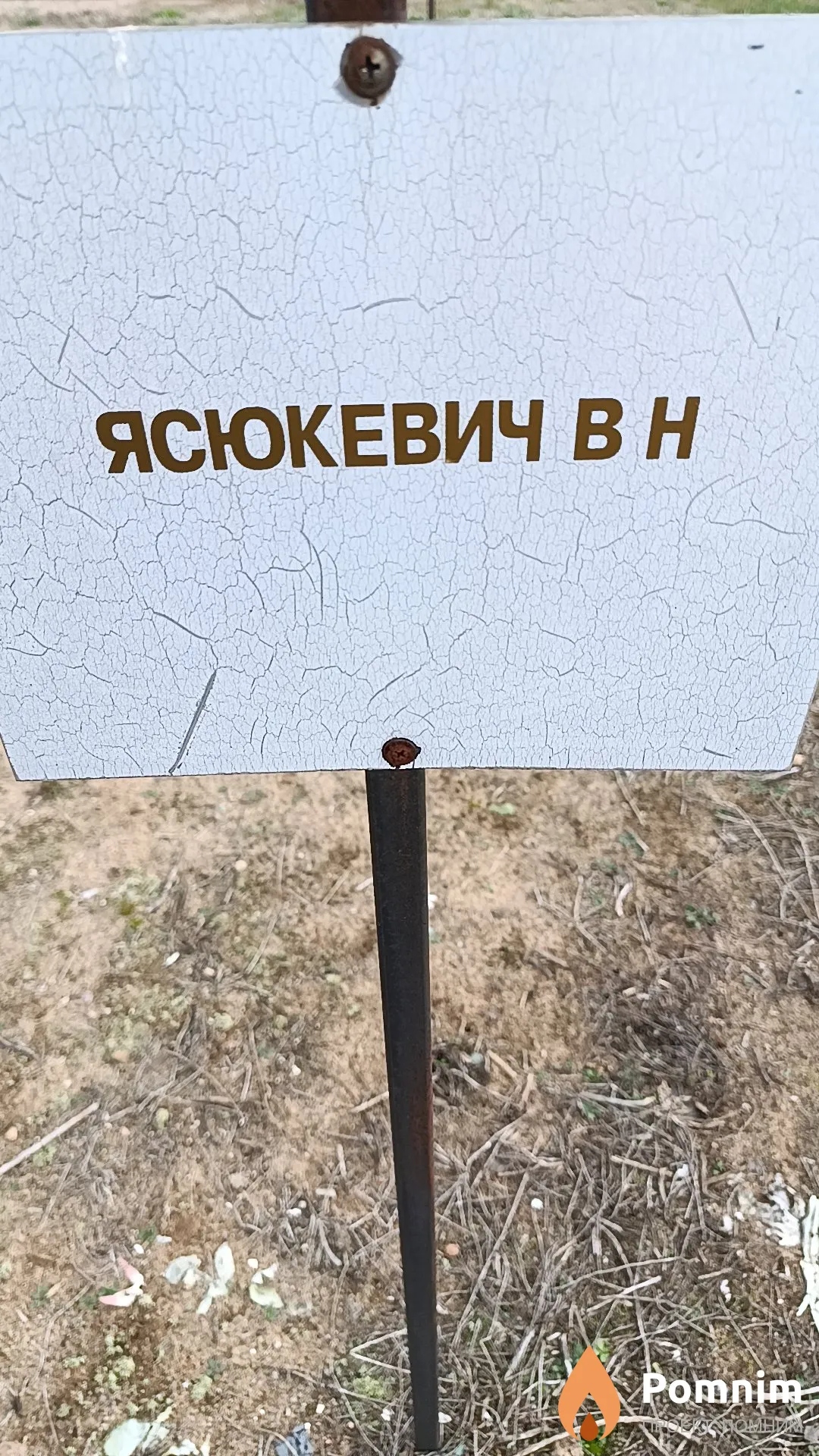 Ясюкевич В. Н.