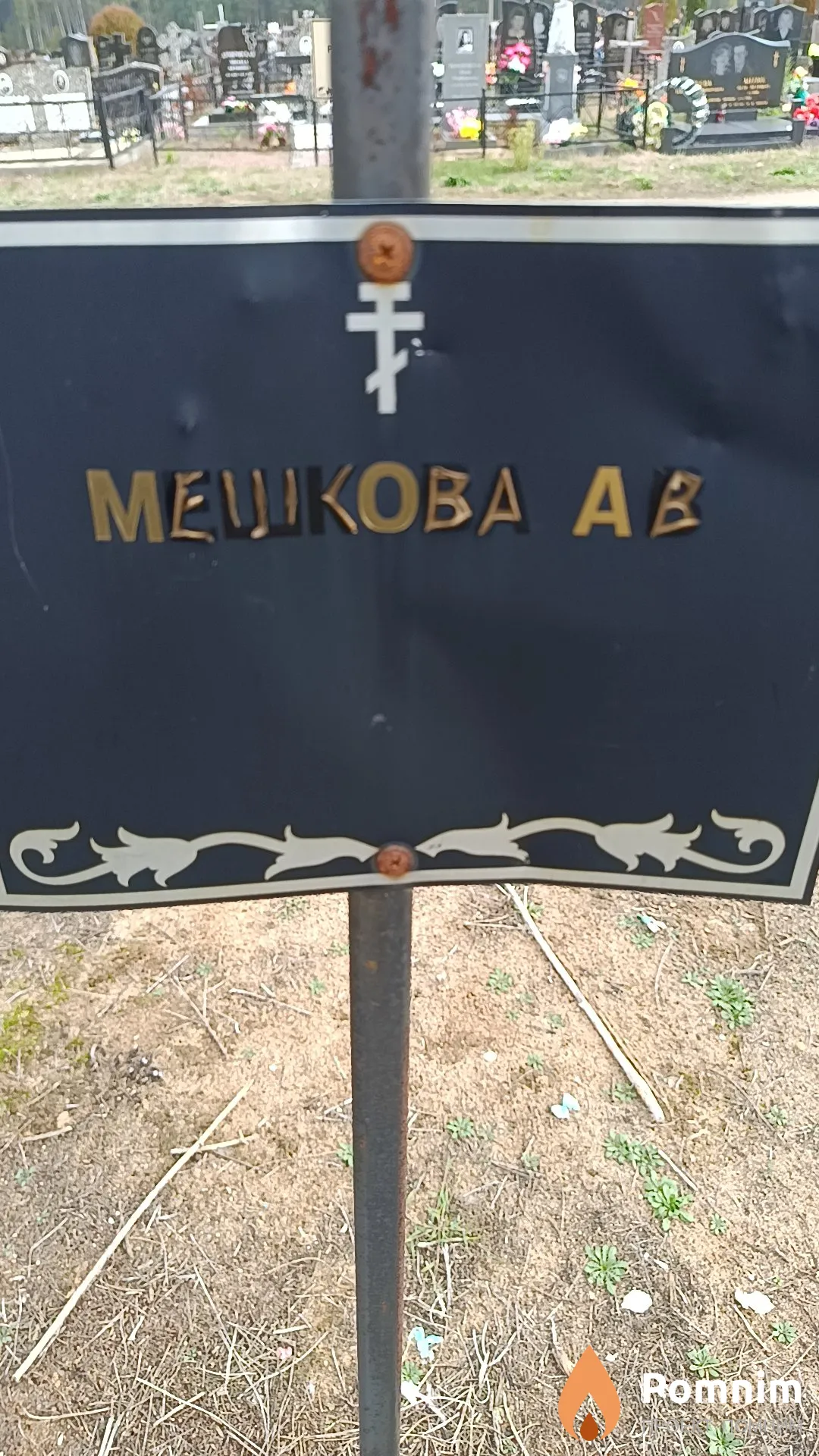 Мешкова А. В.