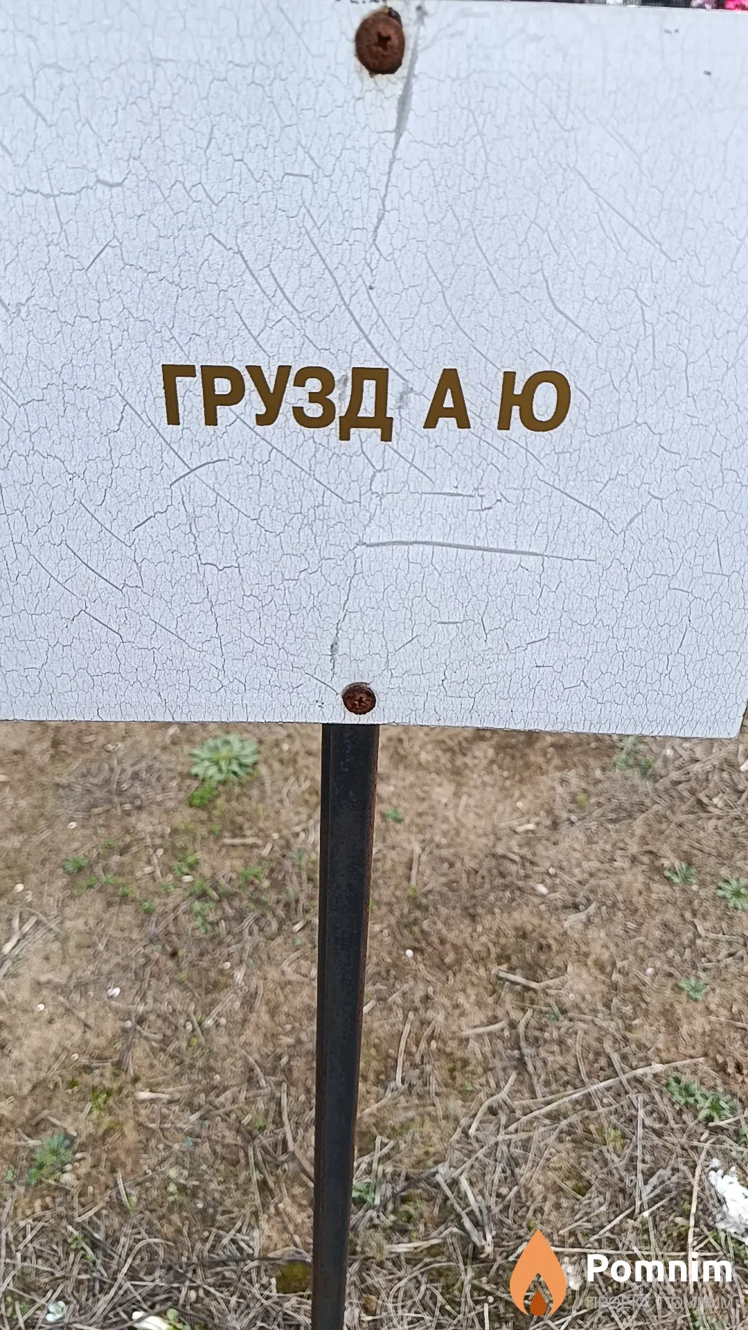 Грузд А. Ю.
