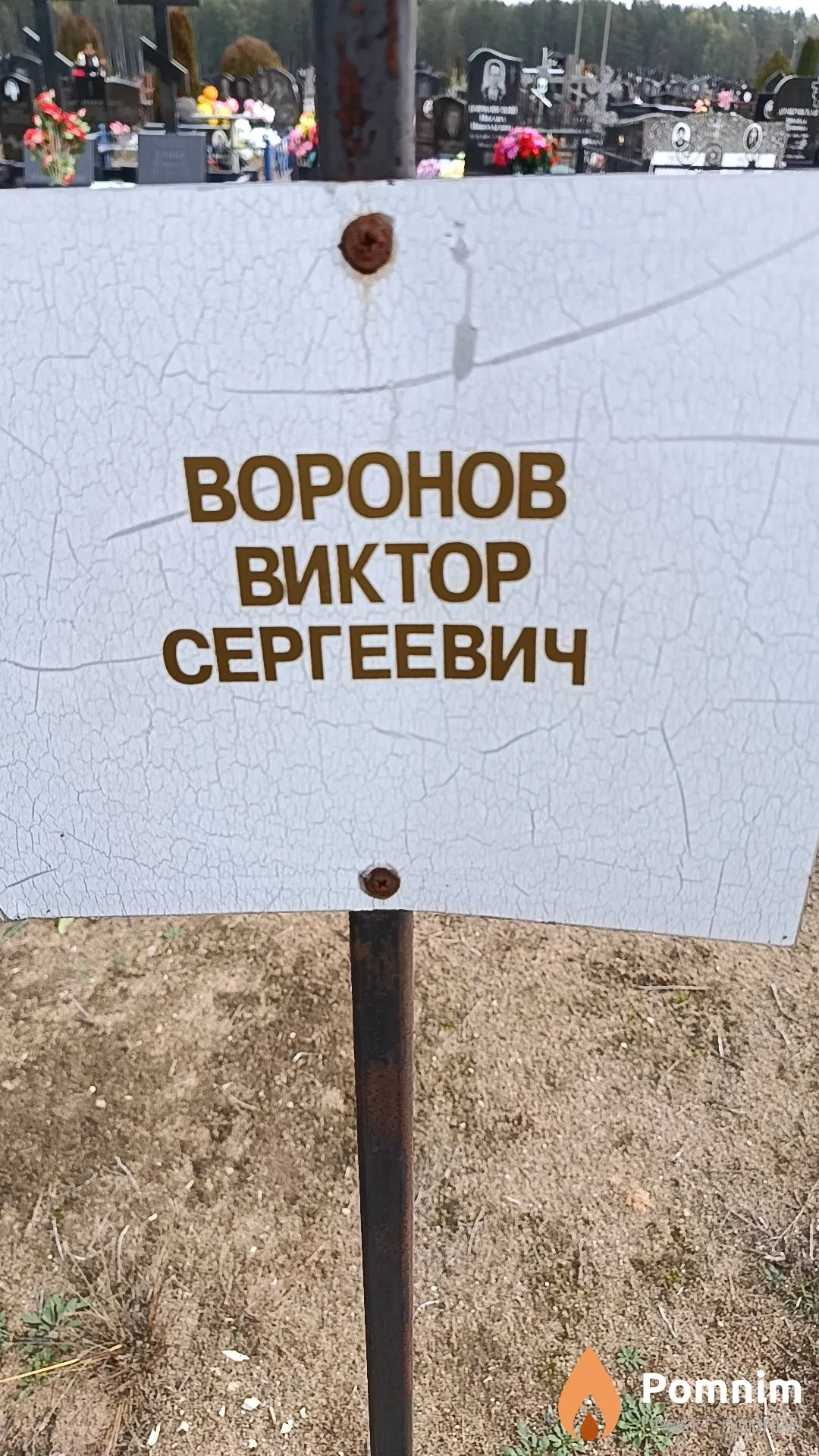Воронов Виктор Сергеевич