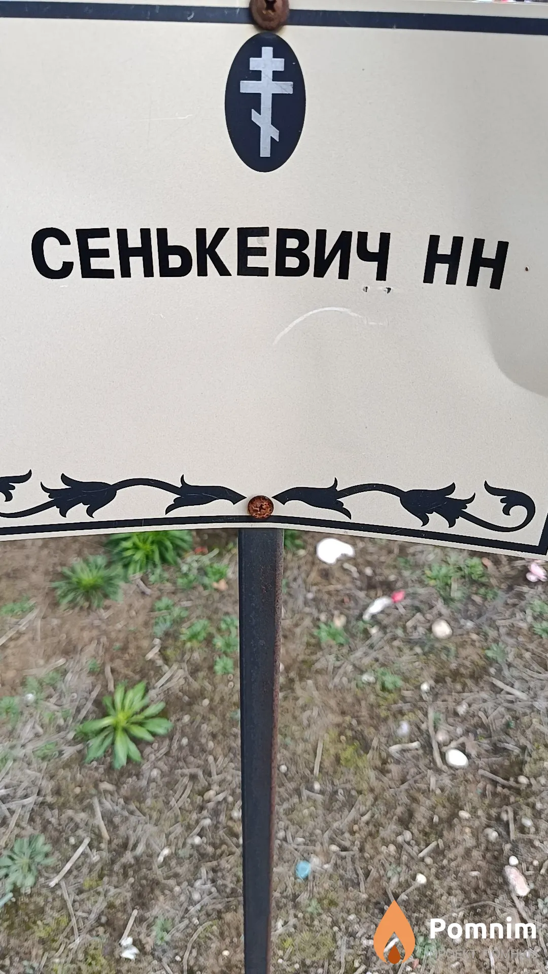 Сенькевич Н. Н.