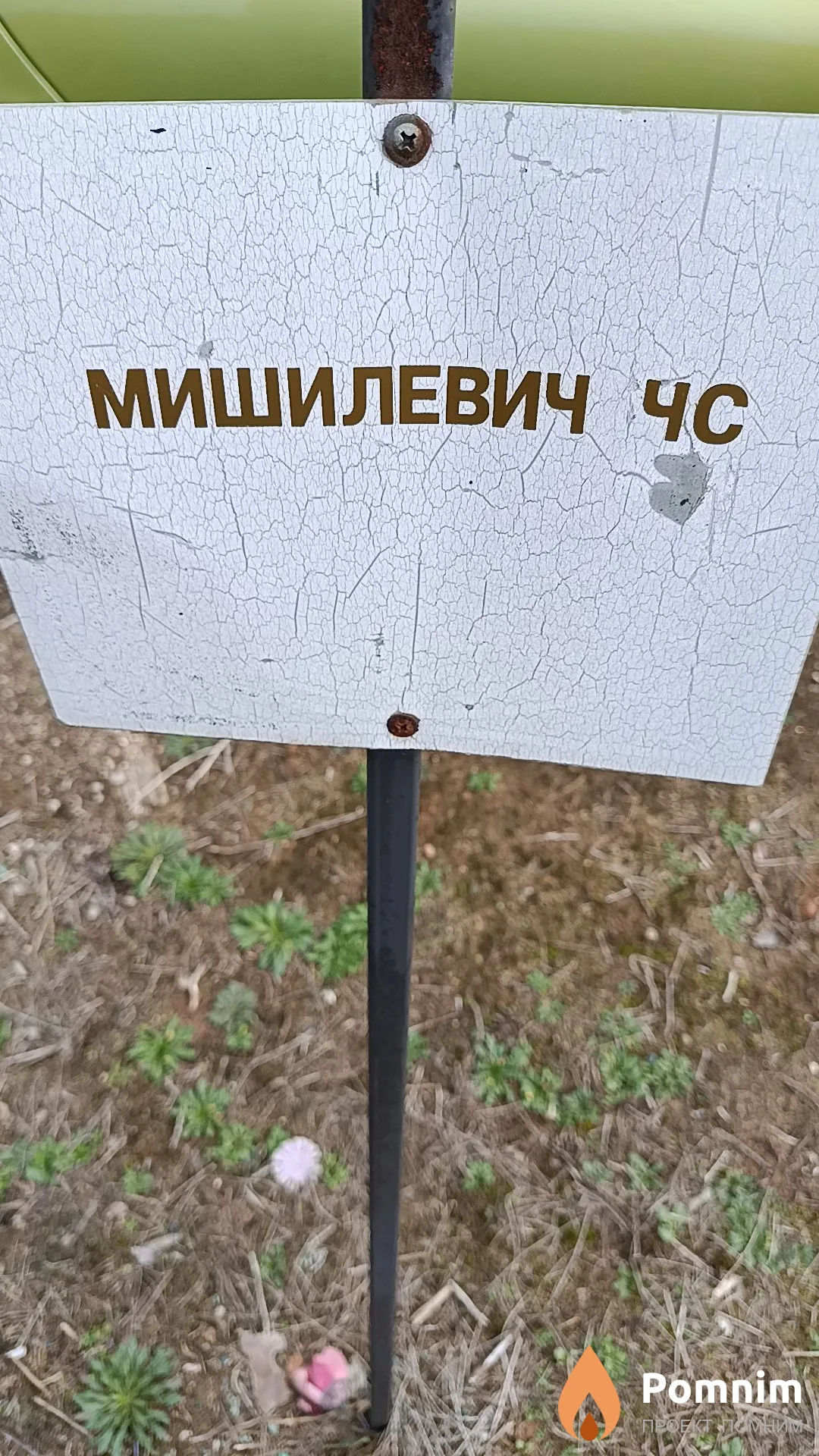 Мишилевич Ч. С.