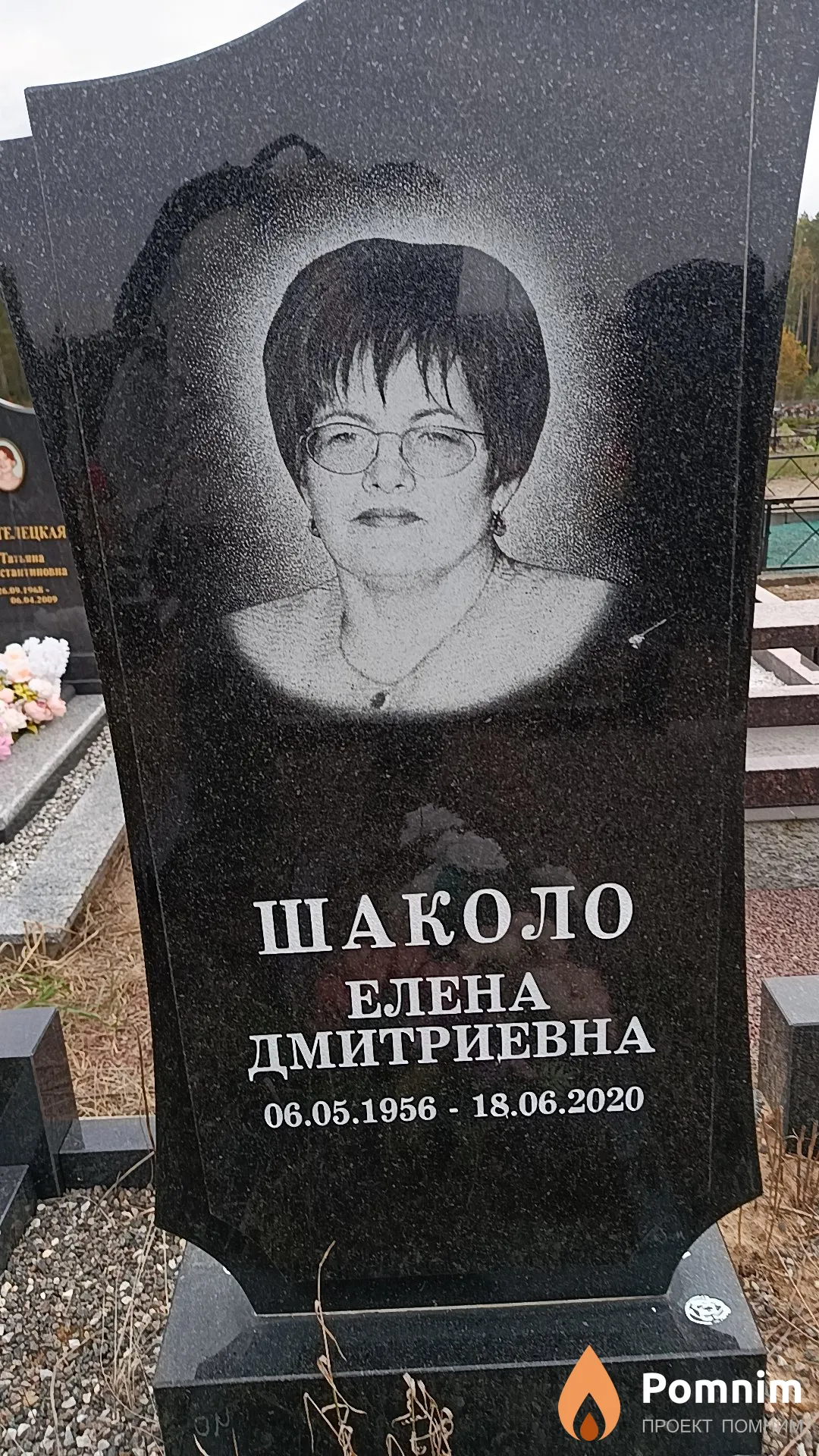 Шаколо Елена Дмитриевна