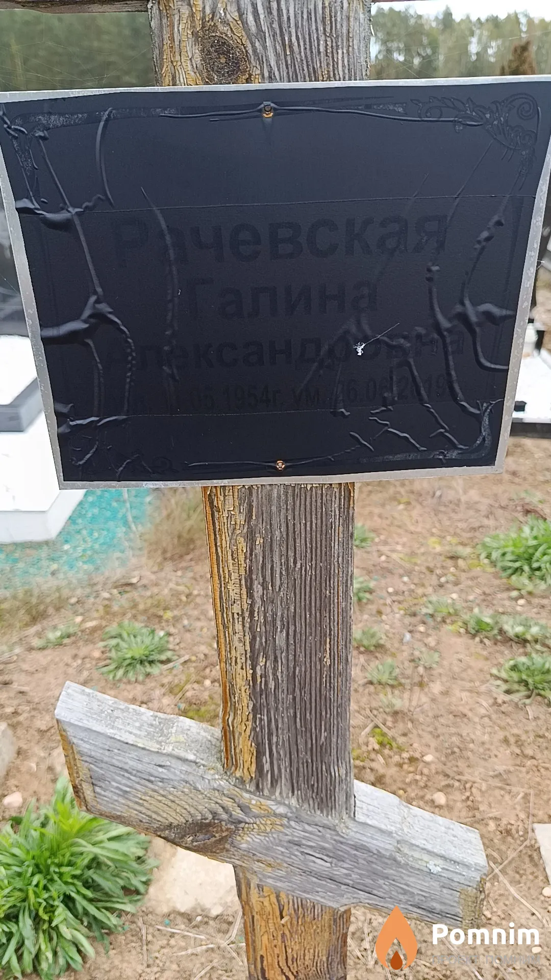 Рачевская Галина Александровна