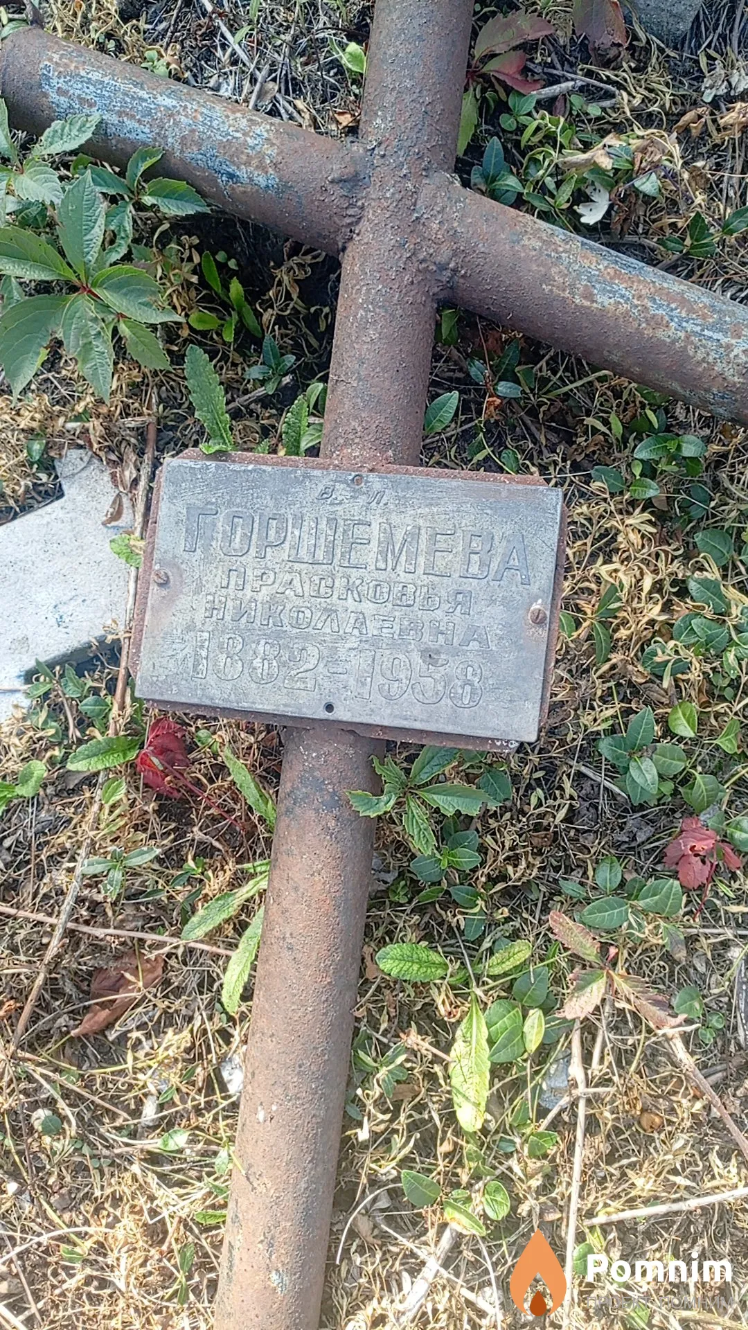 Горшемева Прасковья Николаевна