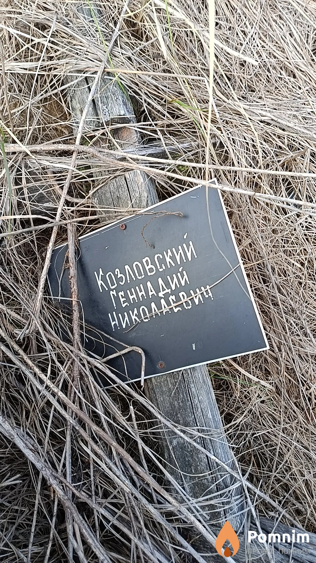 Козловский Геннадий Николаевич