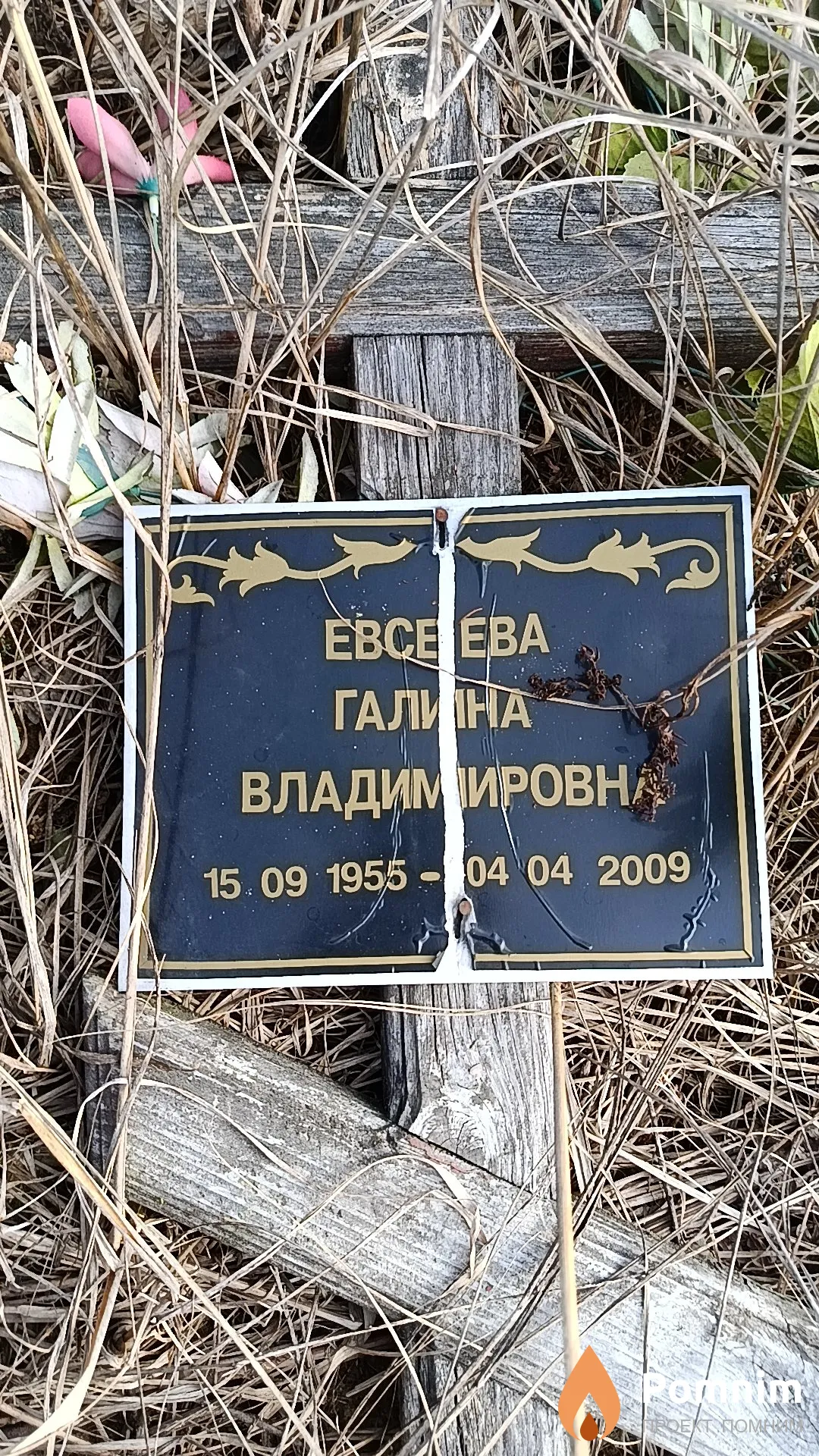 Евсеева Галина Владимировна