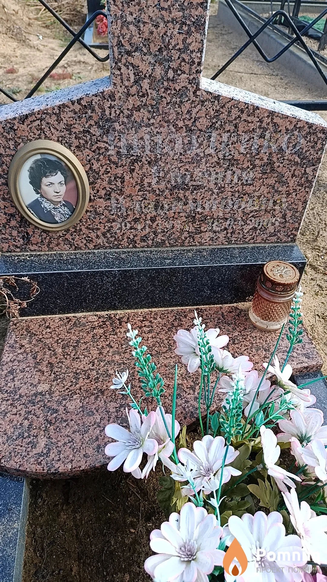 Николенко Евгения Владимировна
