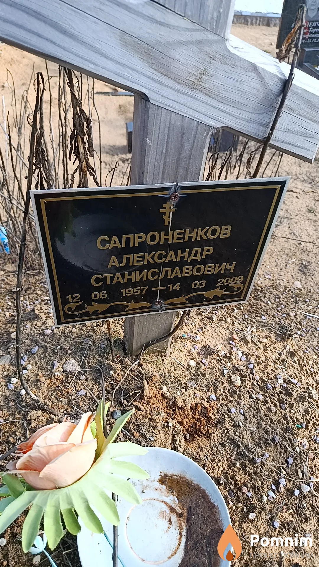 Сапроненков Александр Станиславович