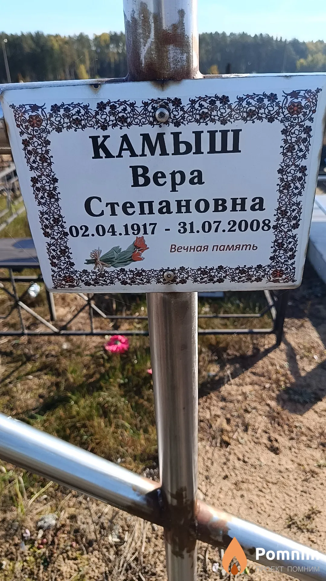 Камыш Вера Степановна