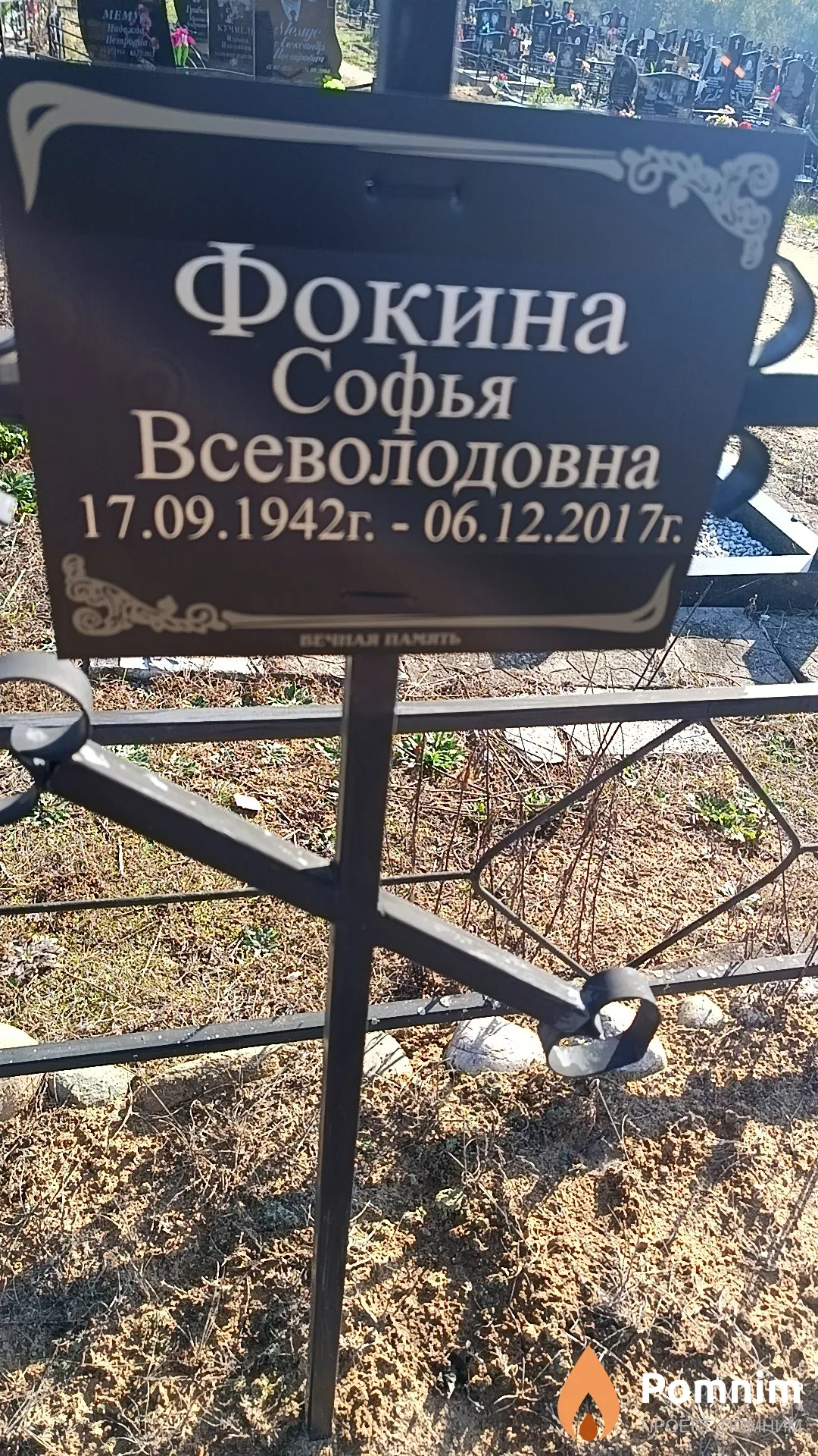 Фокина Софья Всеволодовна