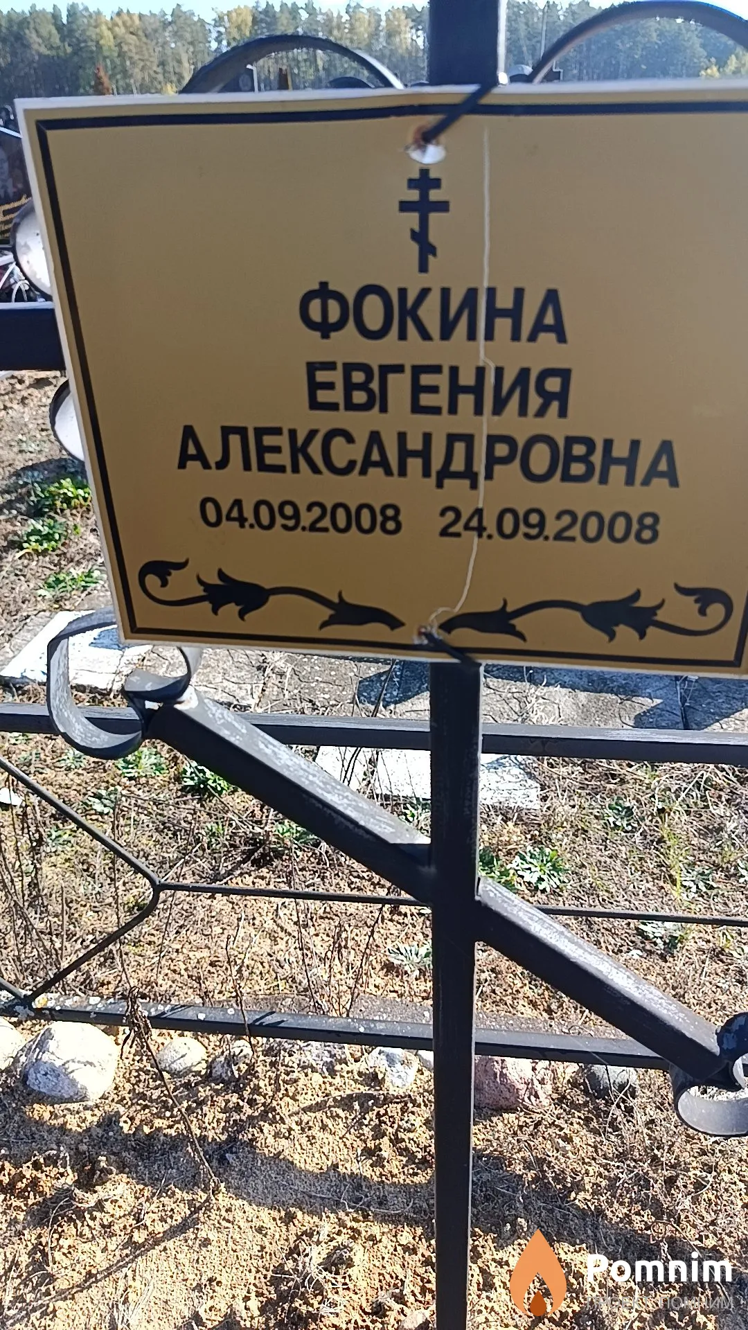 Фокина Евгения Александровна