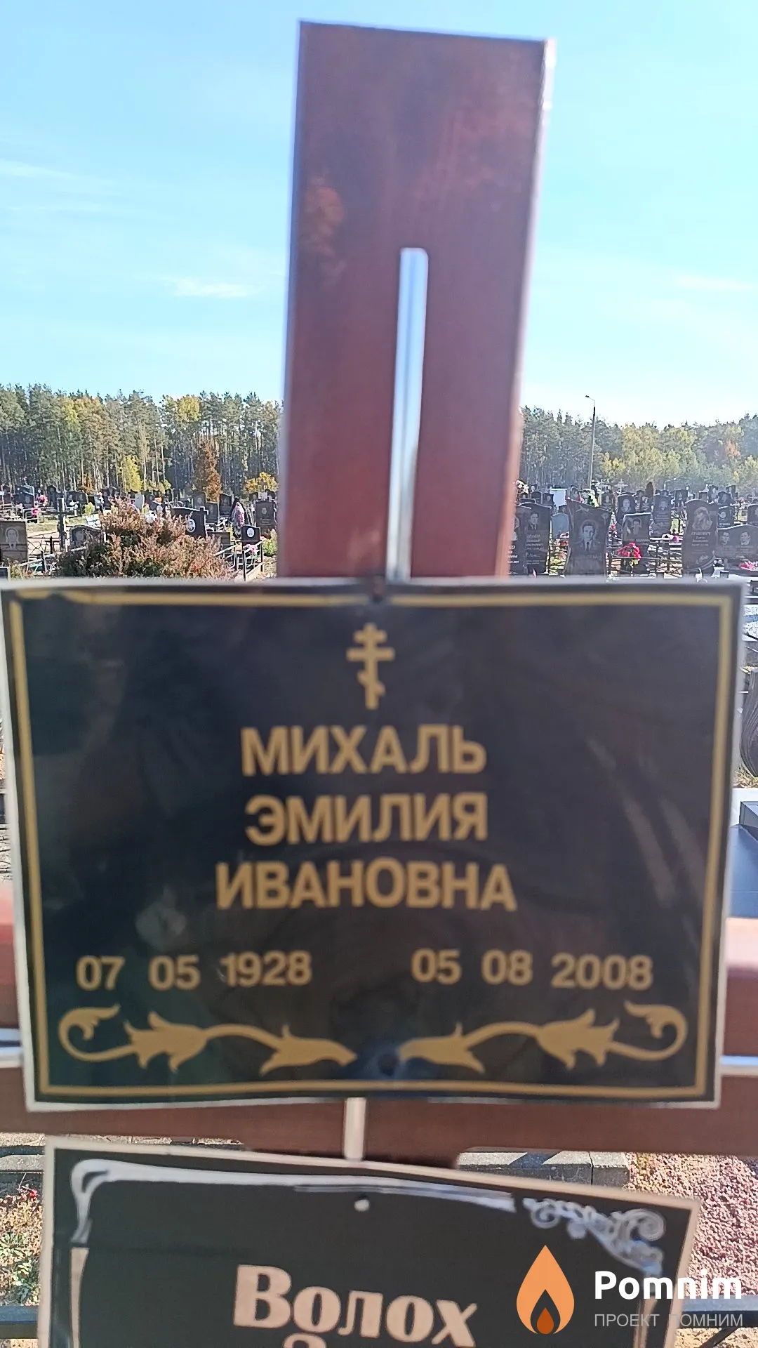Михаль Эмилия Ивановна
