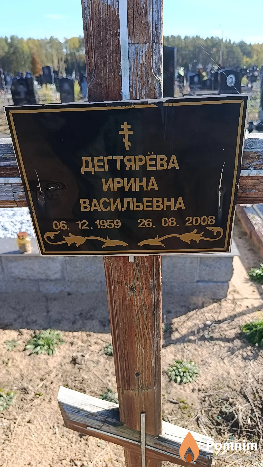 Дегтярёва Ирина Васильевна