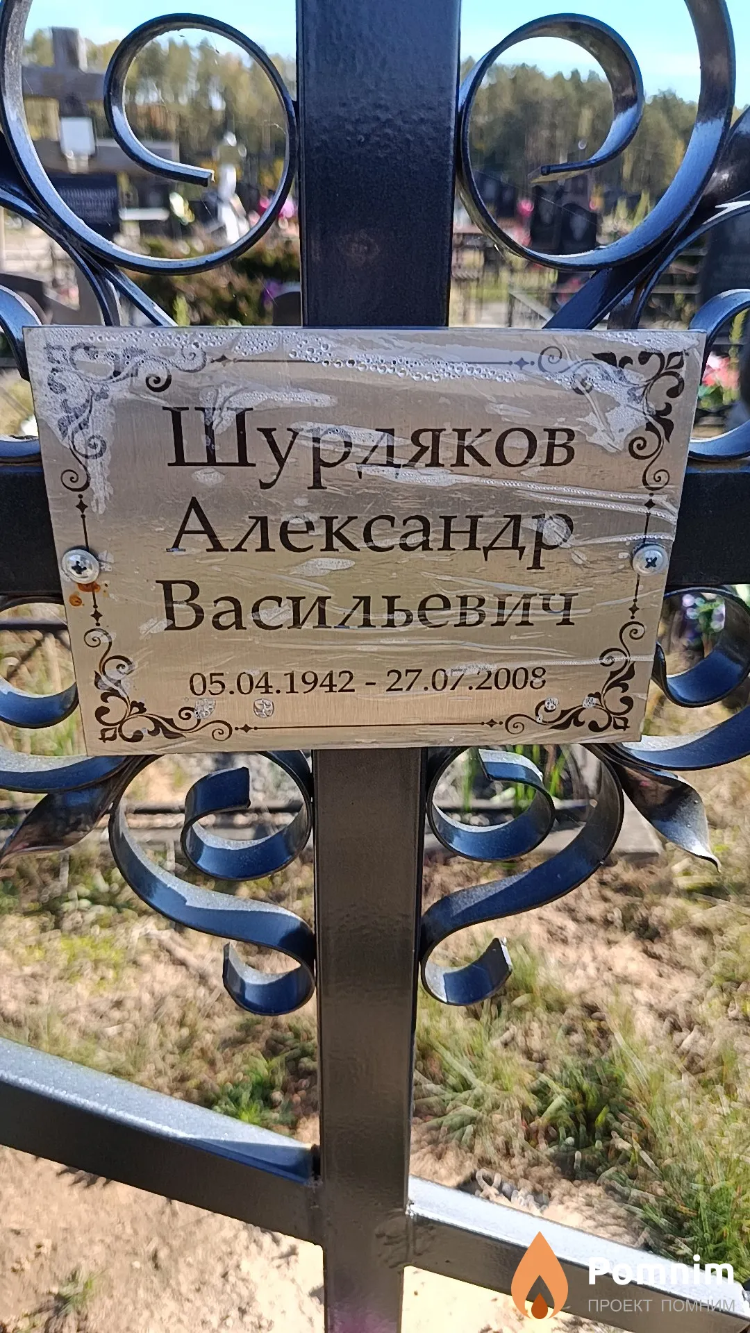 Шурдяков Александр Васильевич
