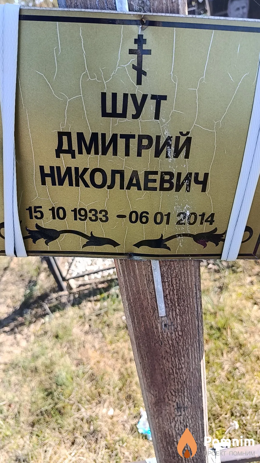 Шут Дмитрий Николаевич