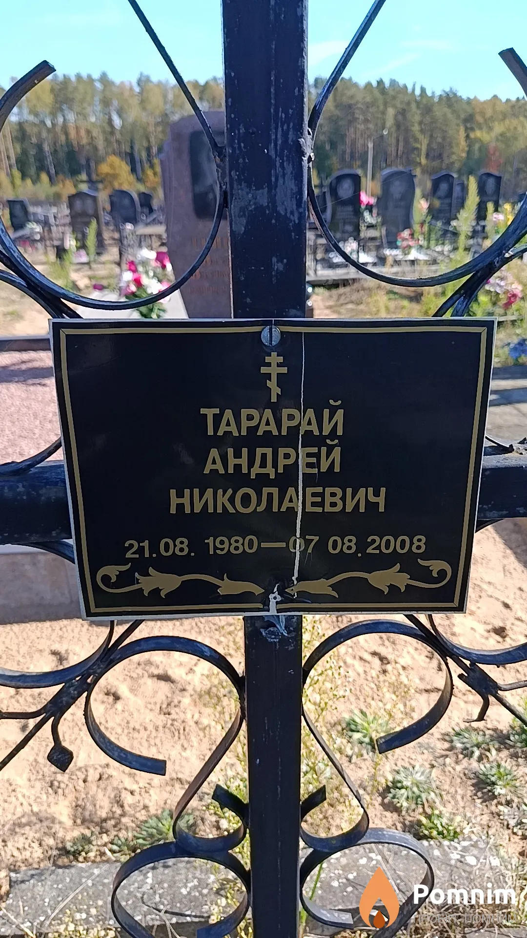 Тарарай Андрей Николаевич