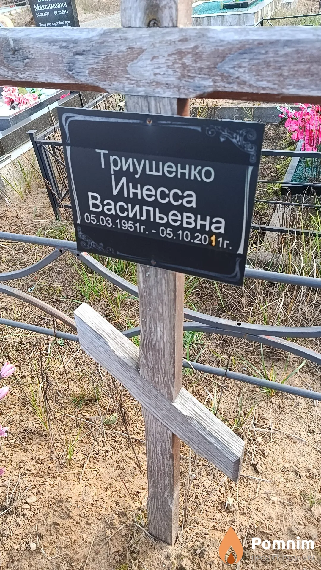 Триушенко Инесса Васильевна