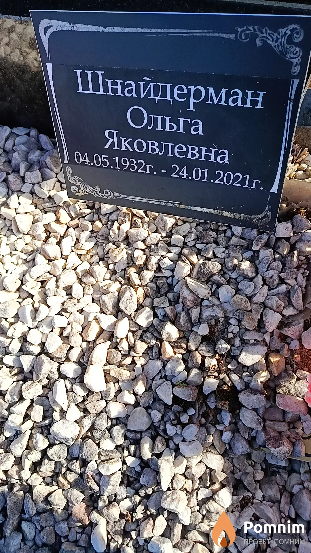 Шнайдерман Ольга Яковлевна