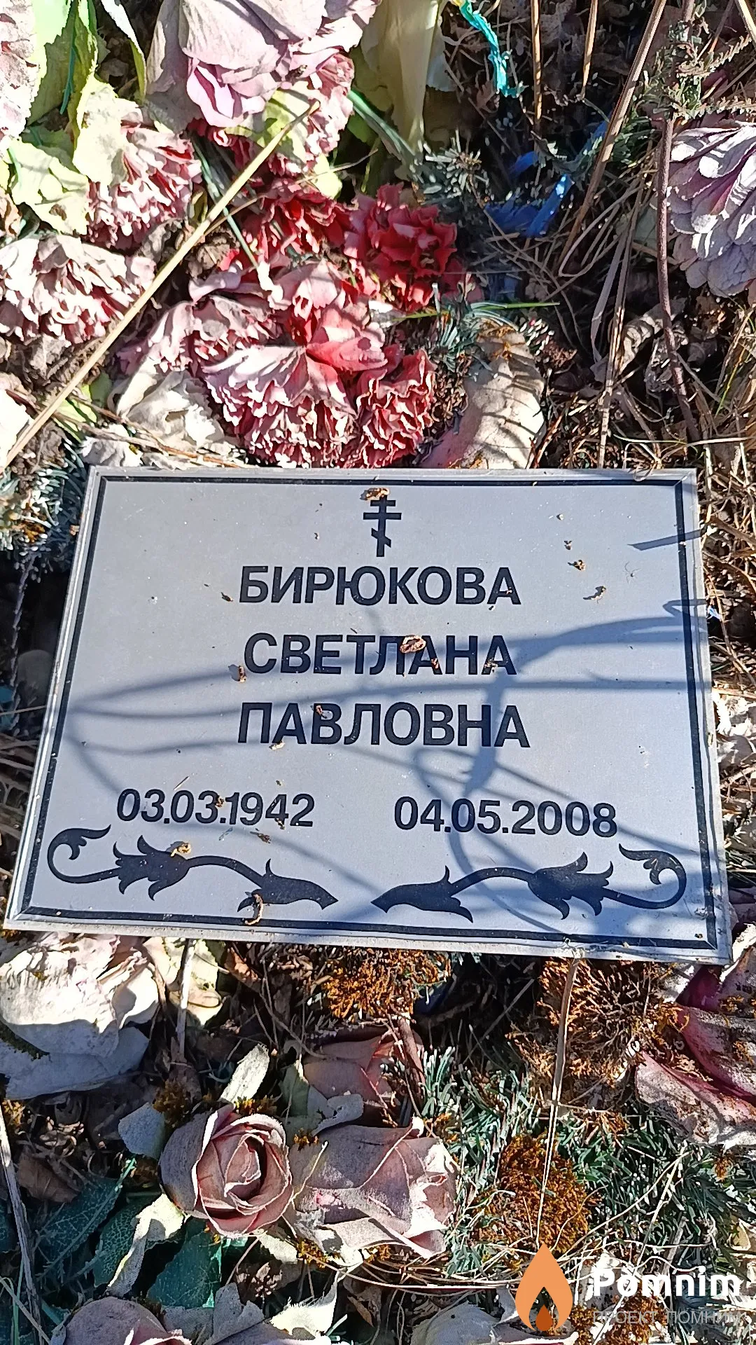 Бирюкова Светлана Павловна