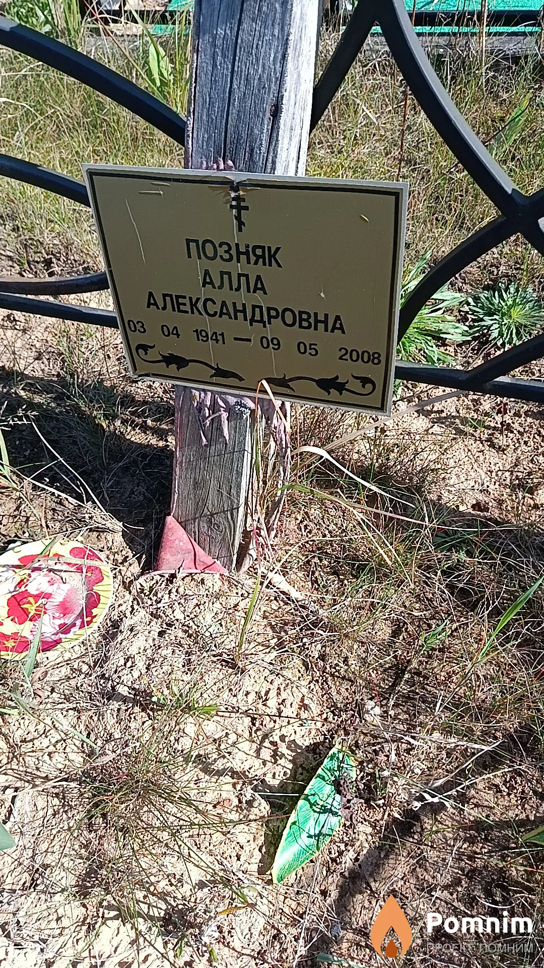 Позняк Алла Александровна