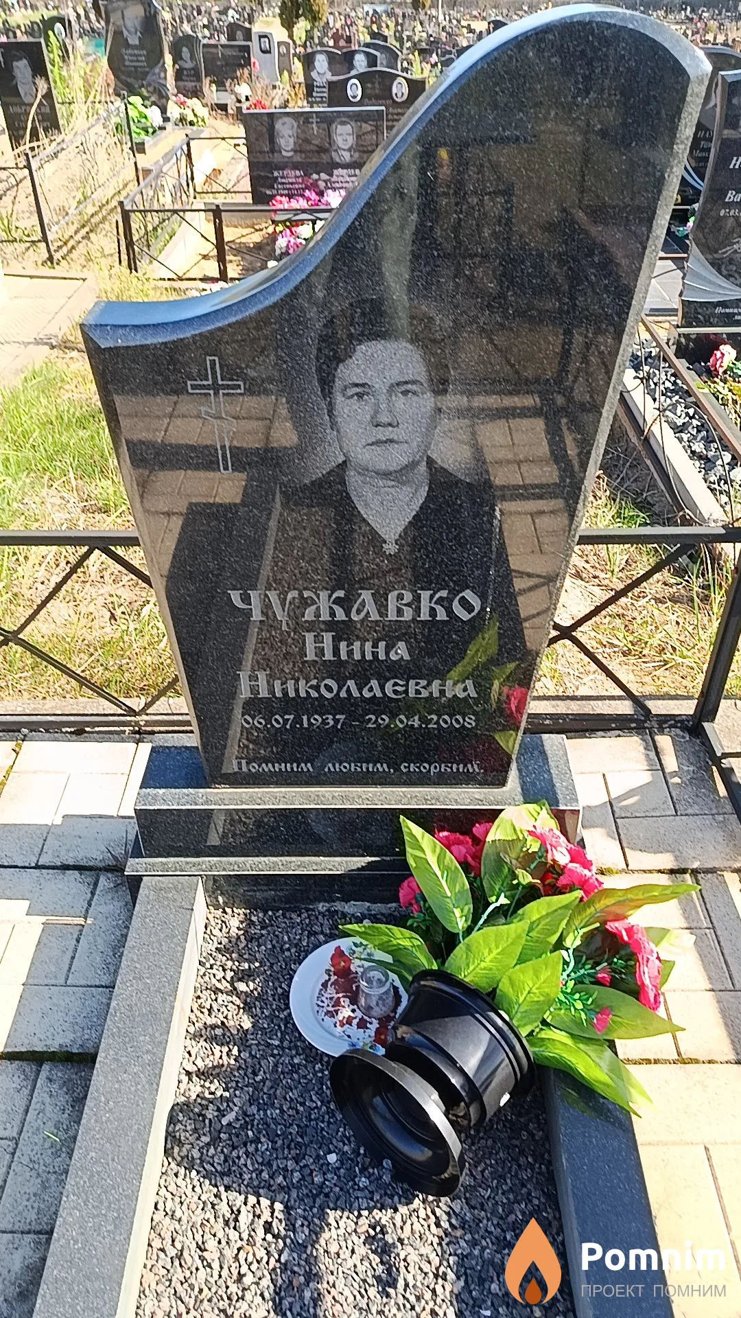 Чужавко Нина Николаєвна