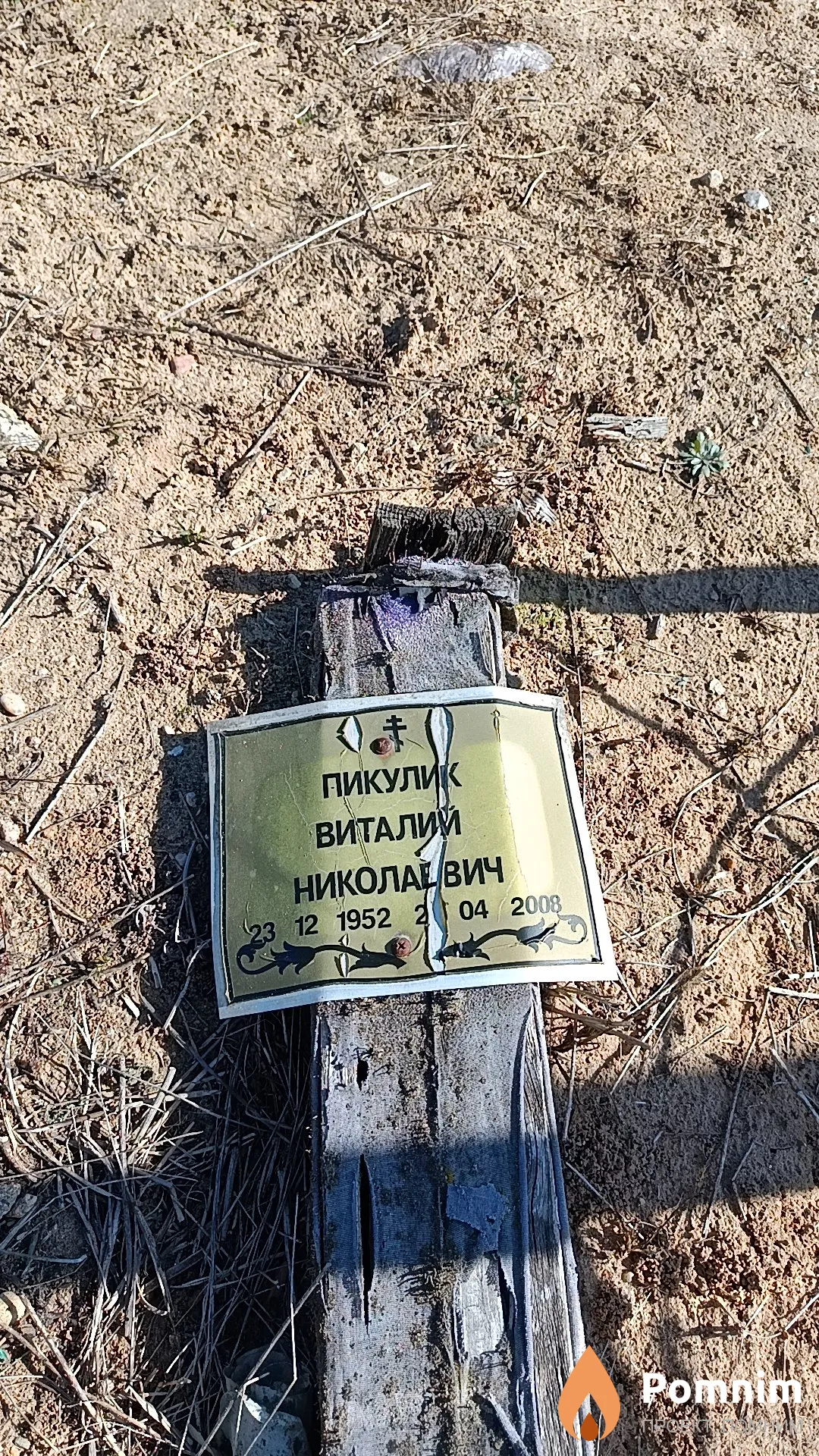 Пикулик Виталий Николаевич