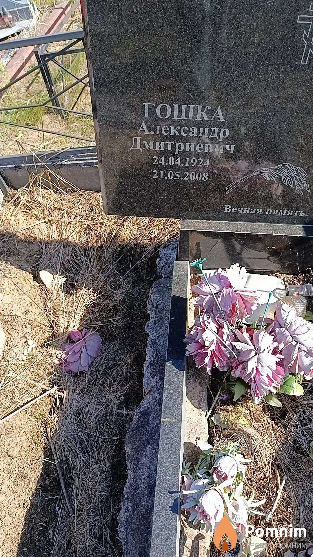 Гошка Александр Дмитриевич