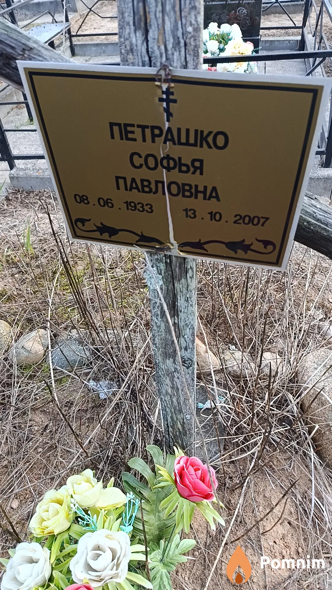 Петрашко Софья Павловна