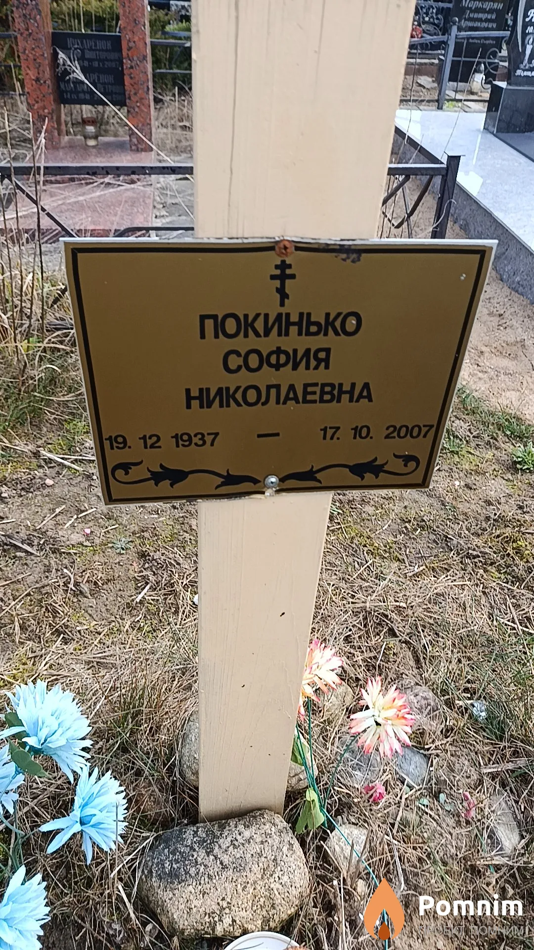 Покинько София Николаевна