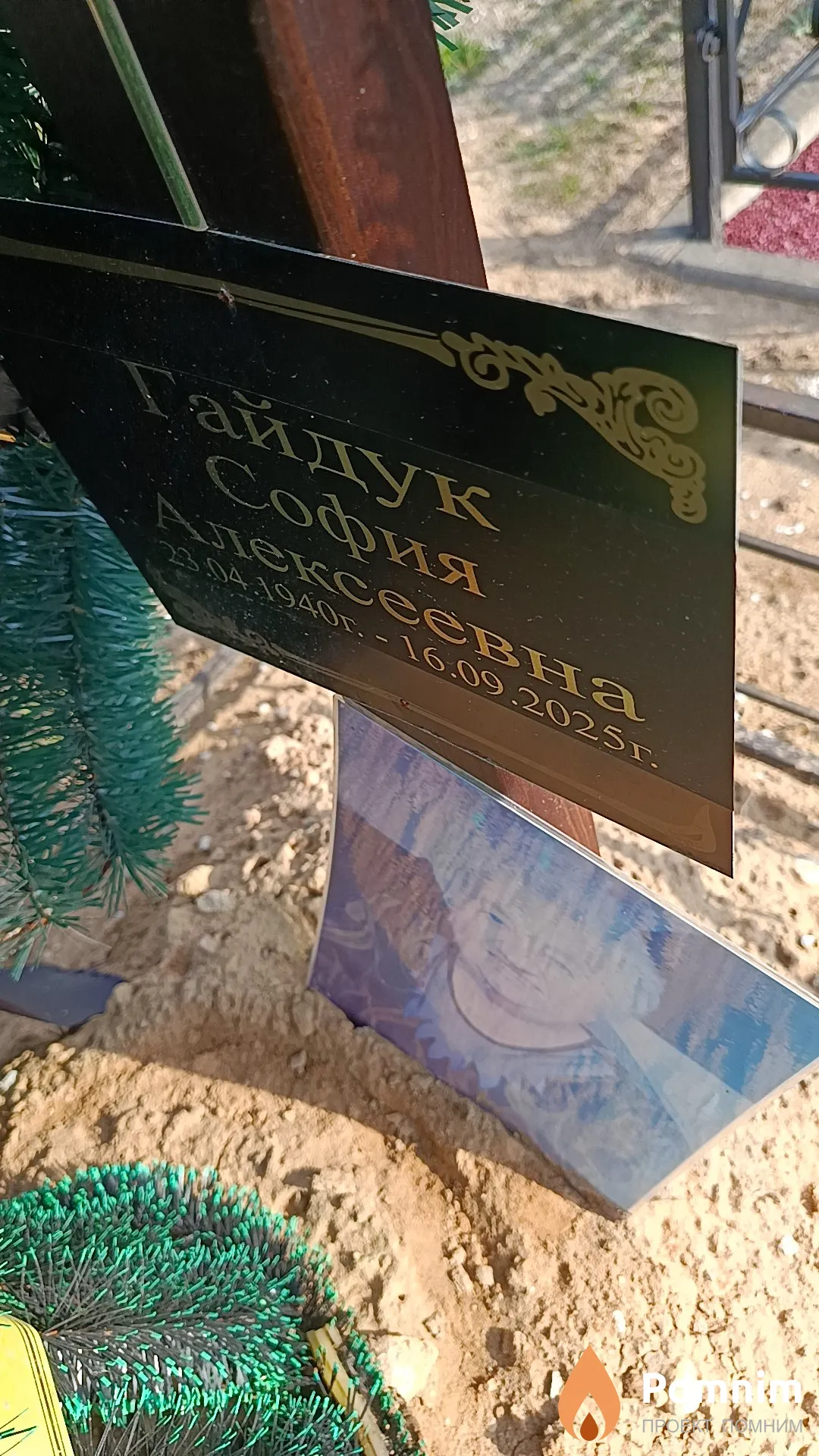 Гайдук София Алексеевна