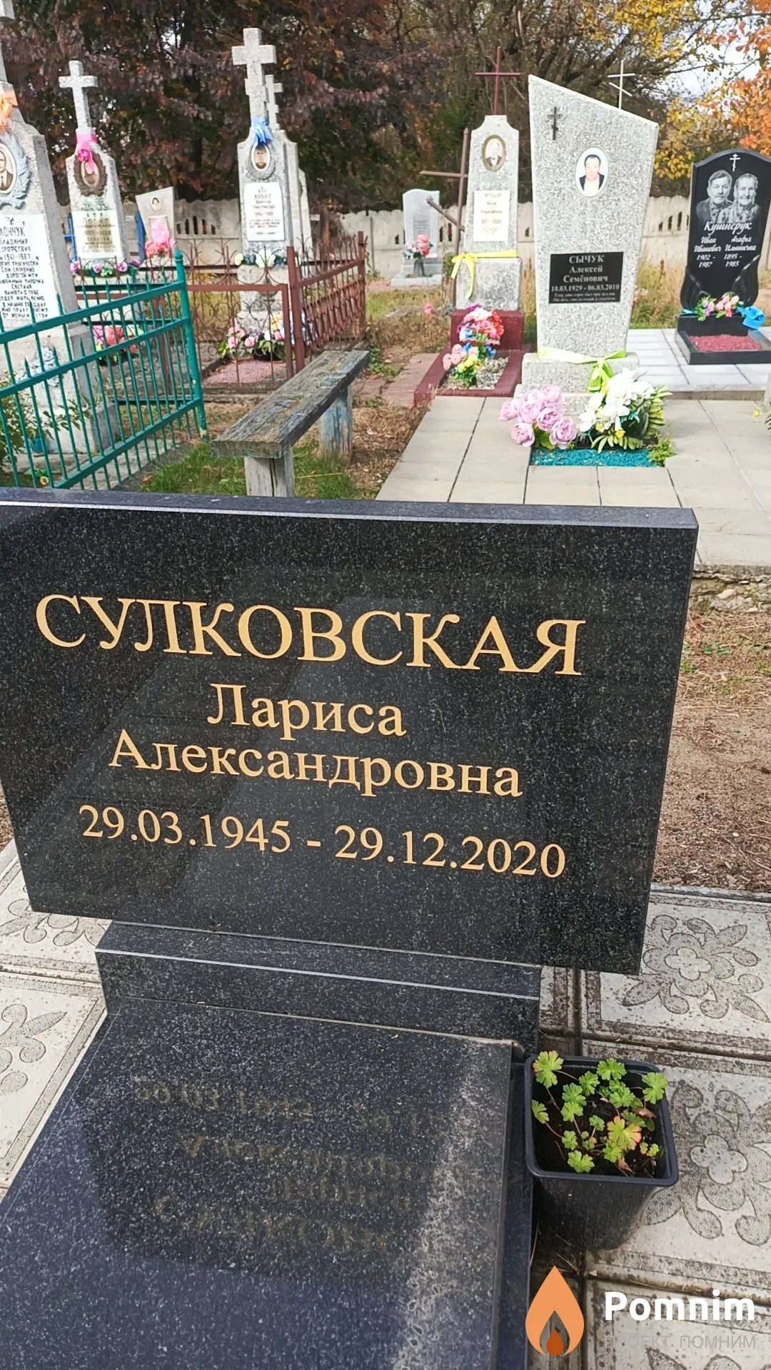 Сулковская Лариса Александровна