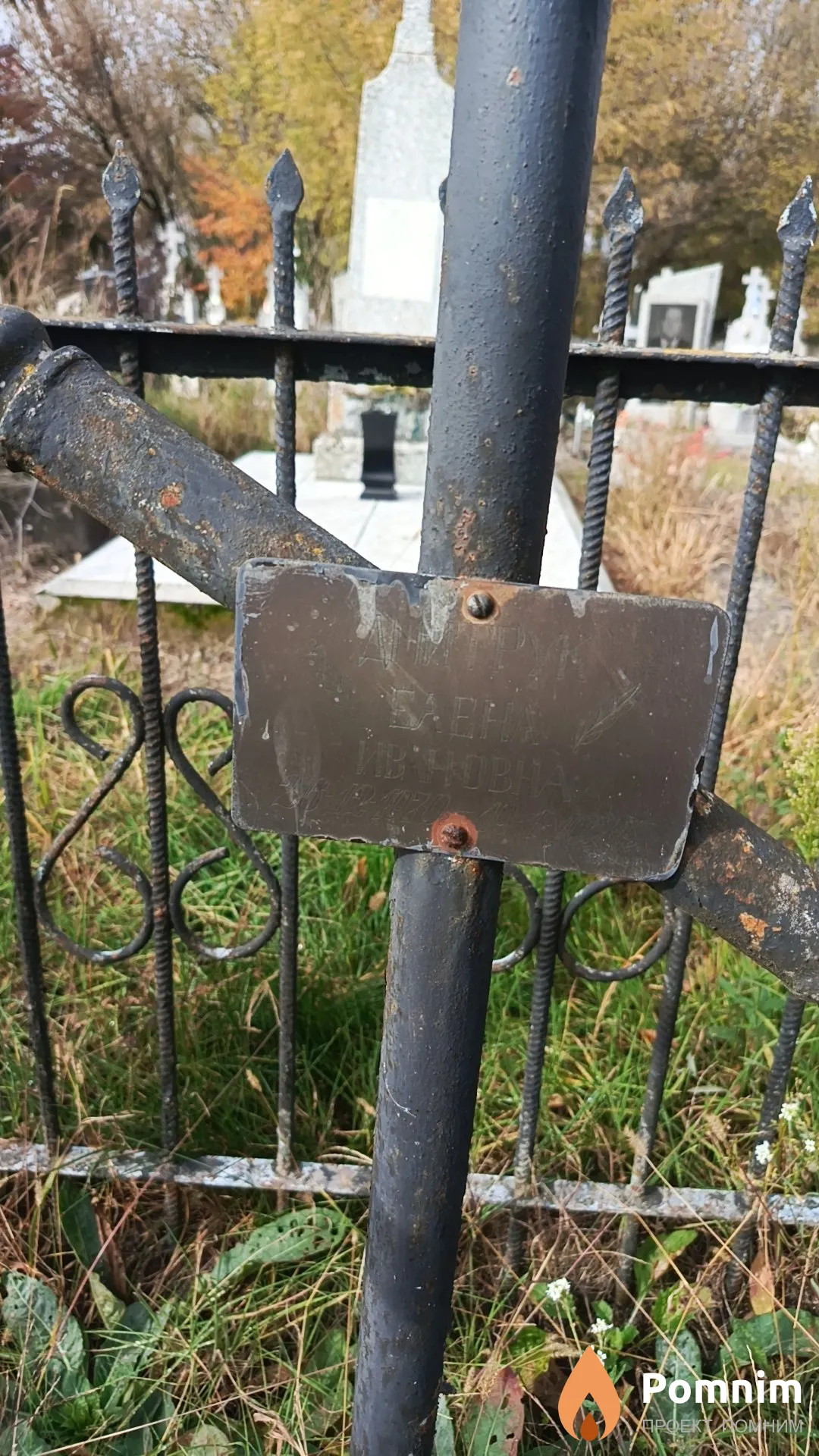Дмитрук Елена Ивановна