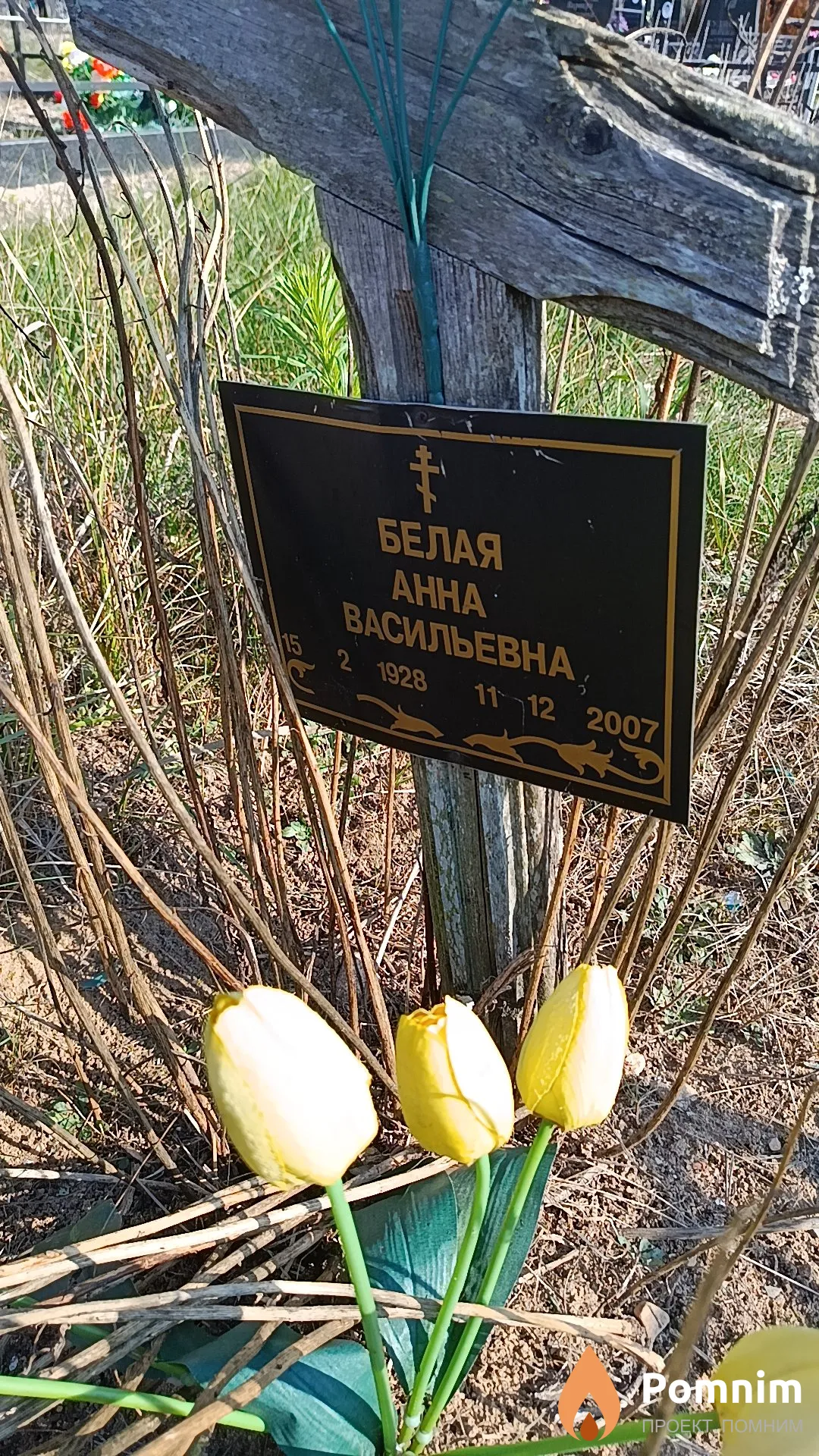 Белая Анна Васильевна