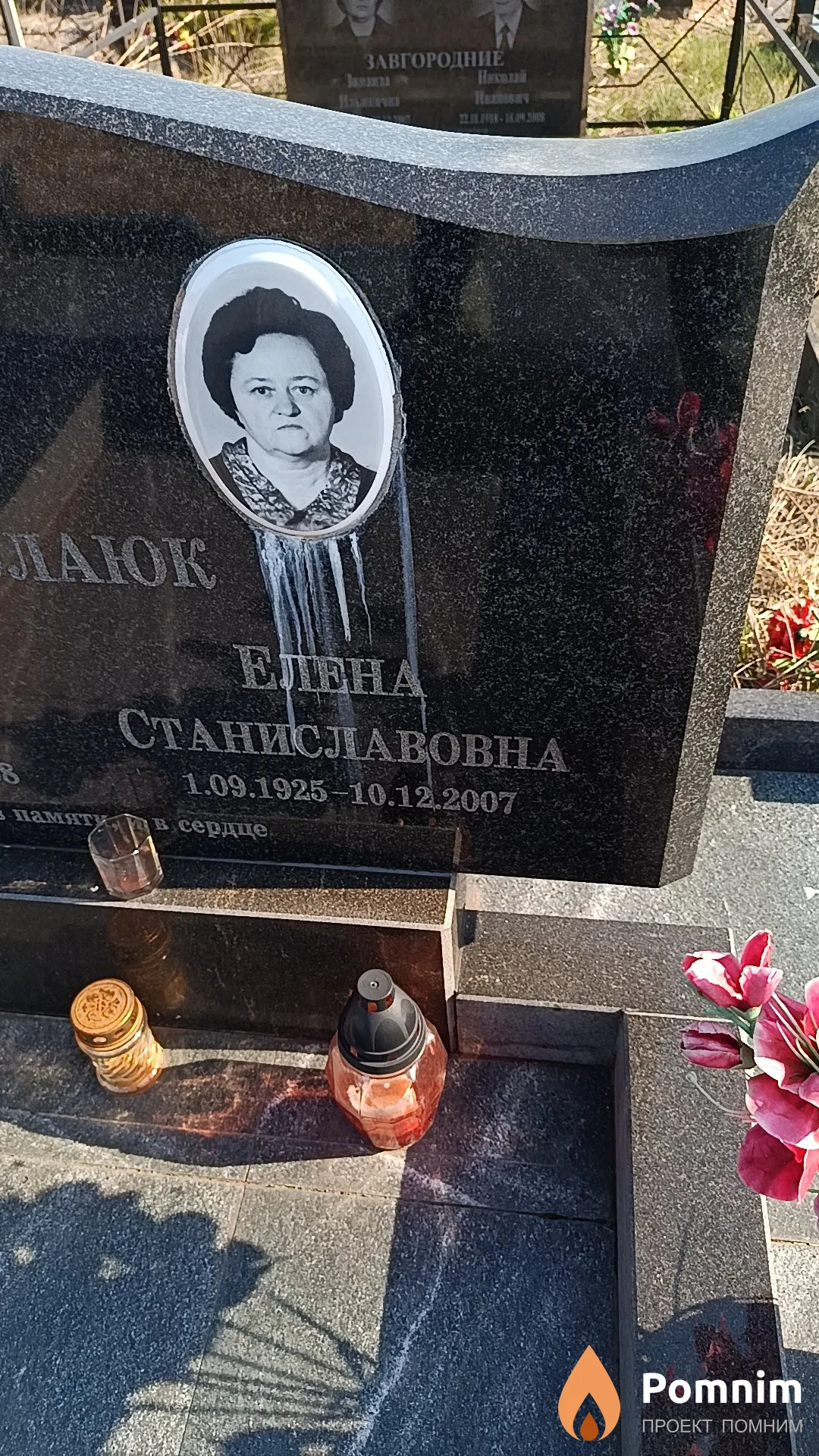 Николаюк Елена Станиславовна
