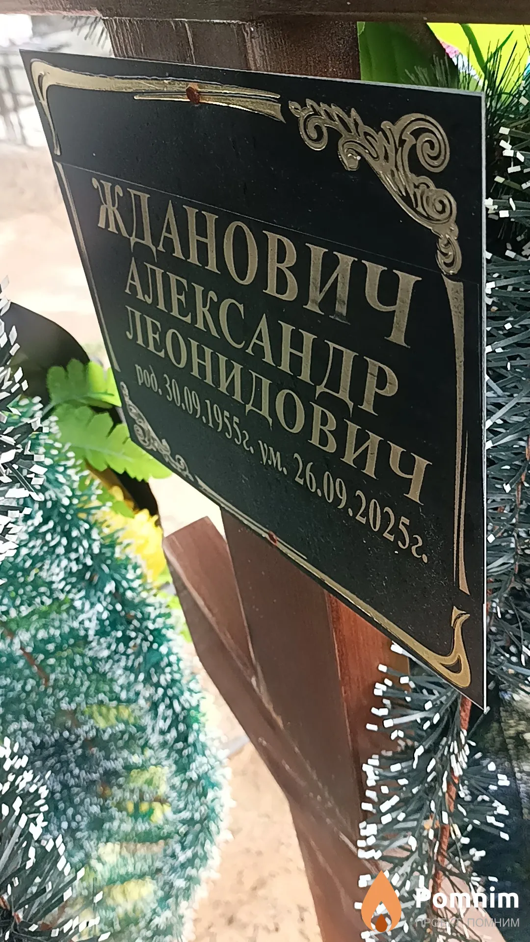 Жданович Александр Леонидович