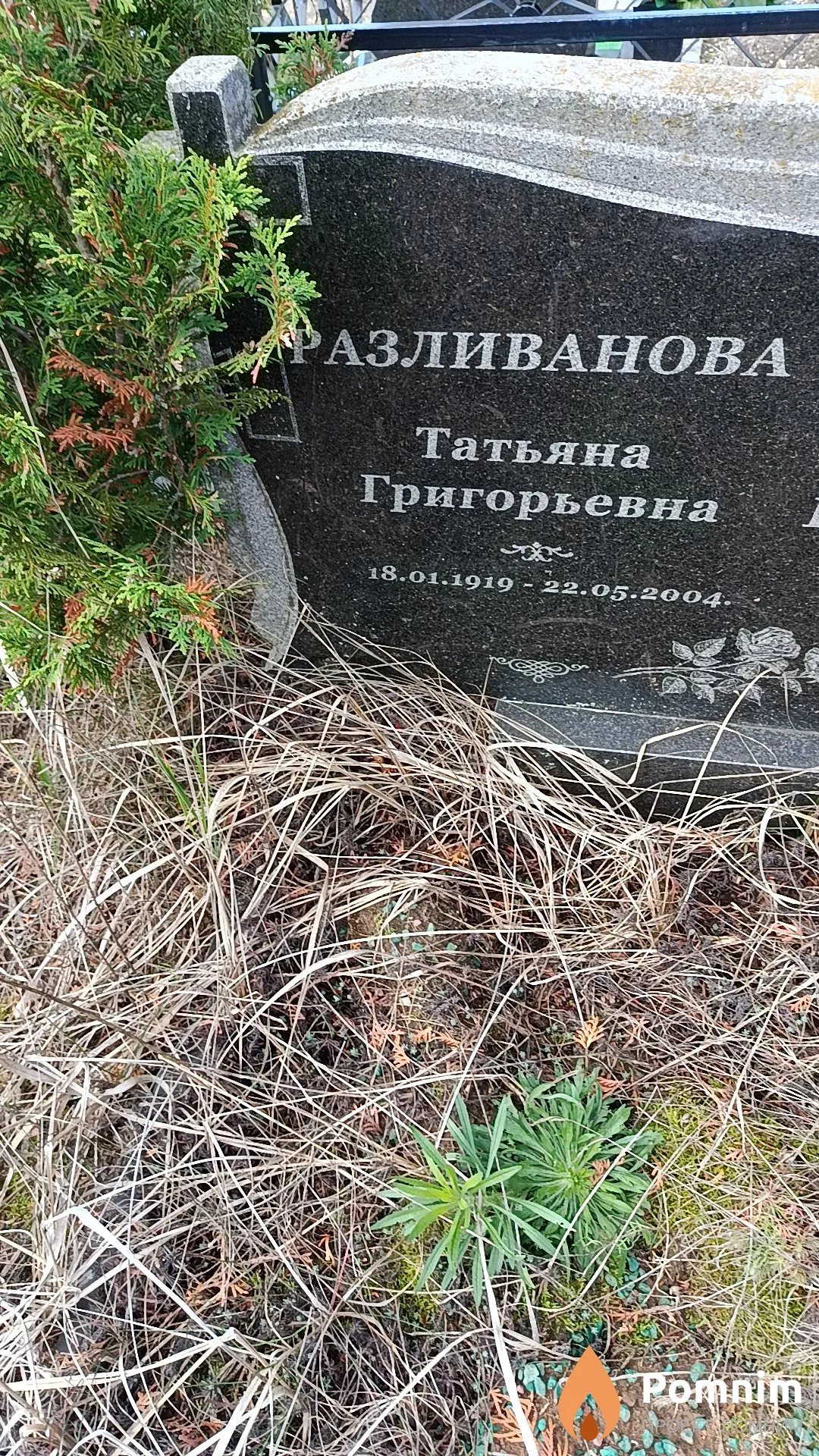 Разливанова Татьяна Григорьевна