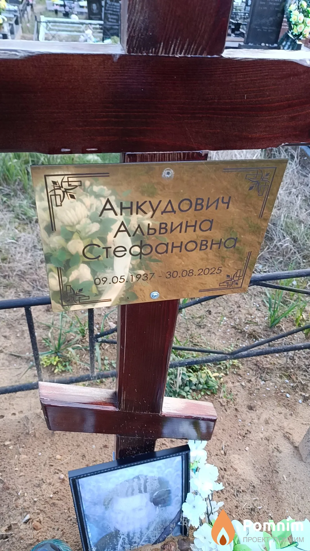 Анкудович Альвина Стефановна