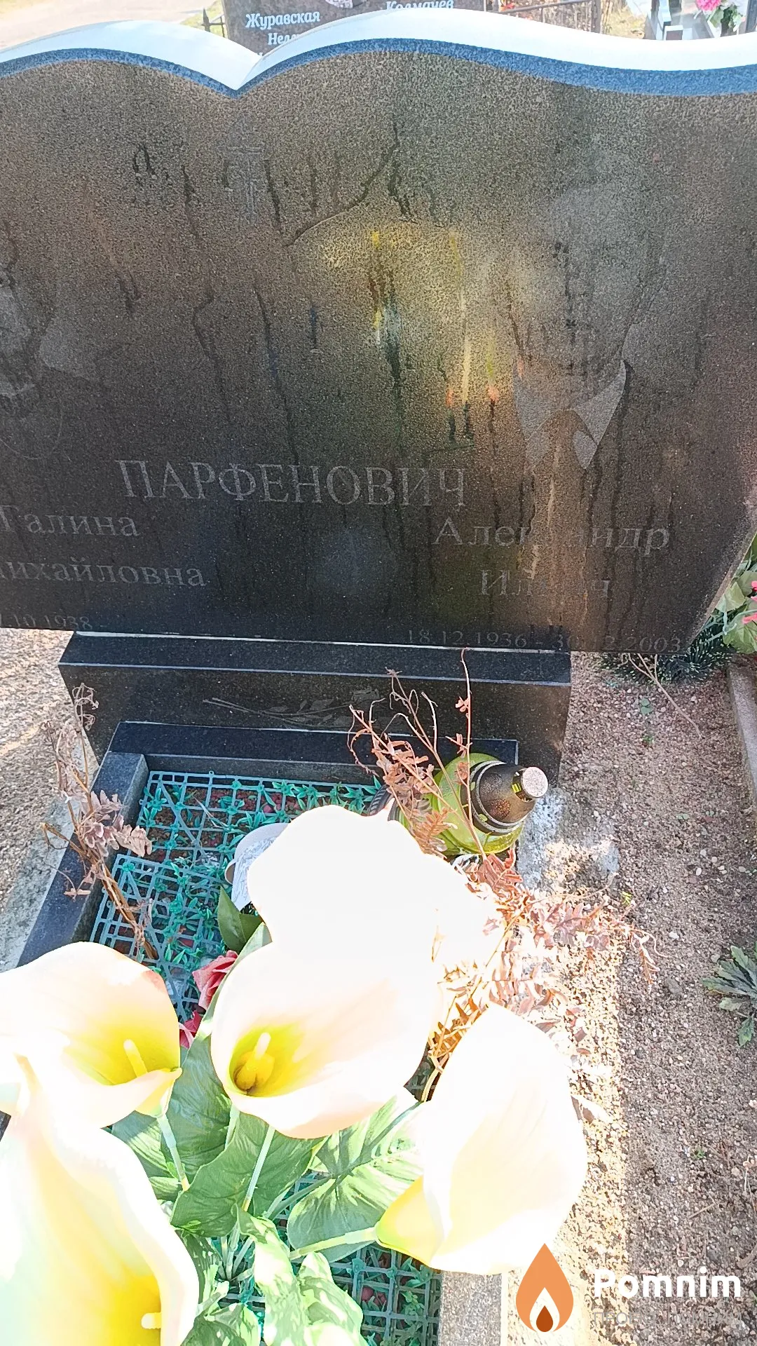 Парфенович Александр Ильич