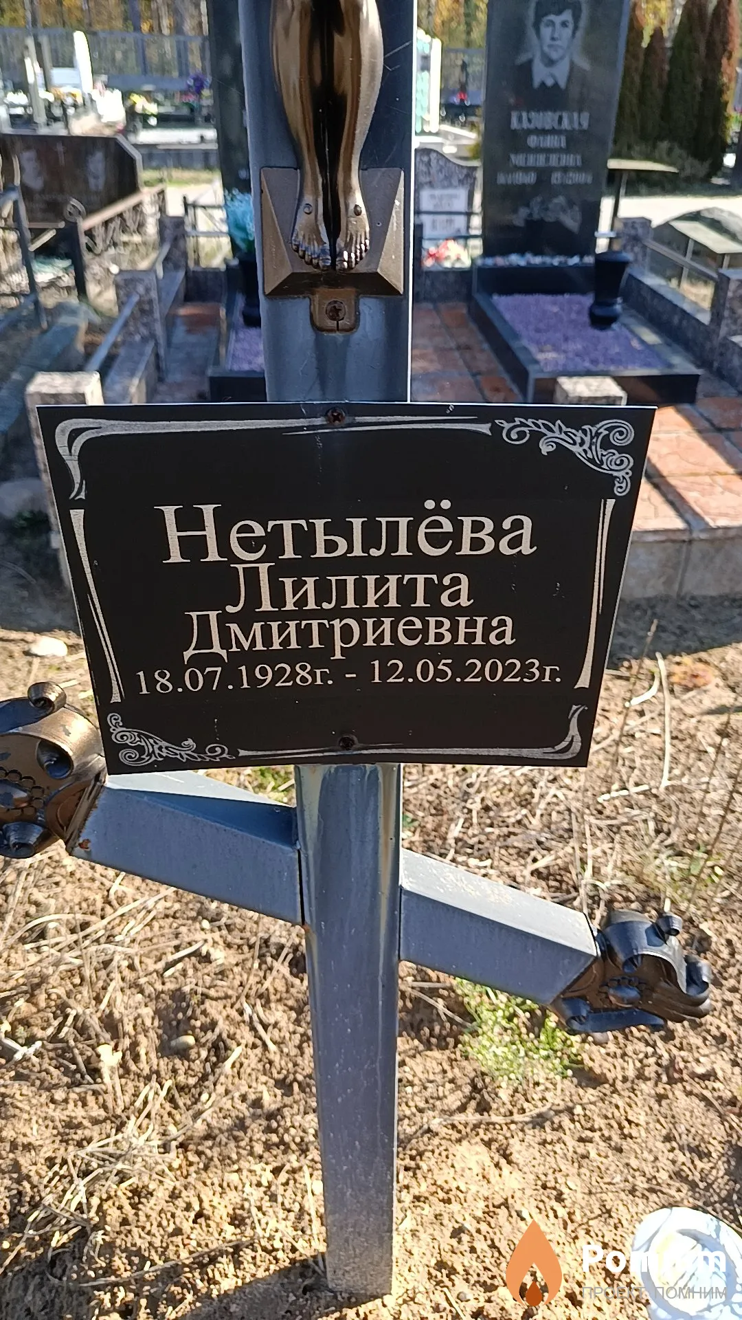 Нетылёва Лилита Дмитриевна