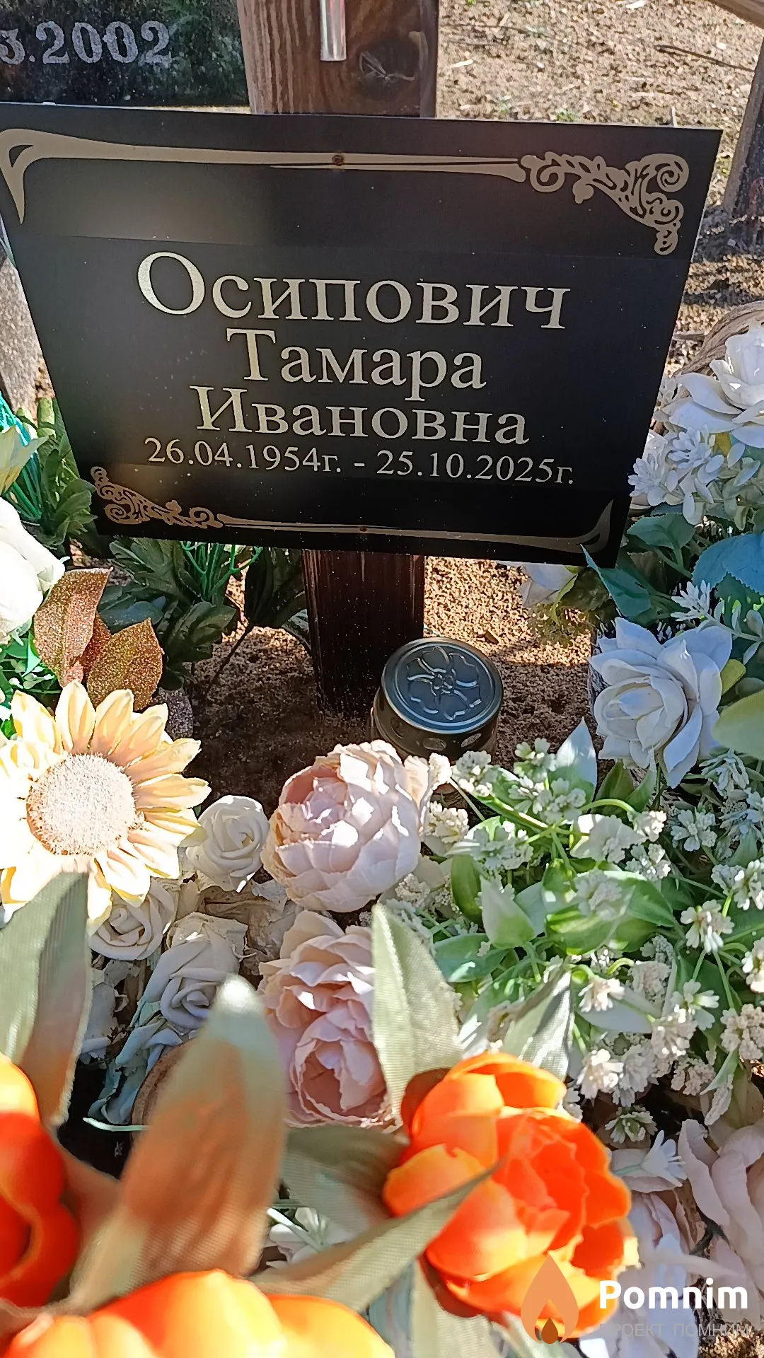 Осипович Тамара Ивановна