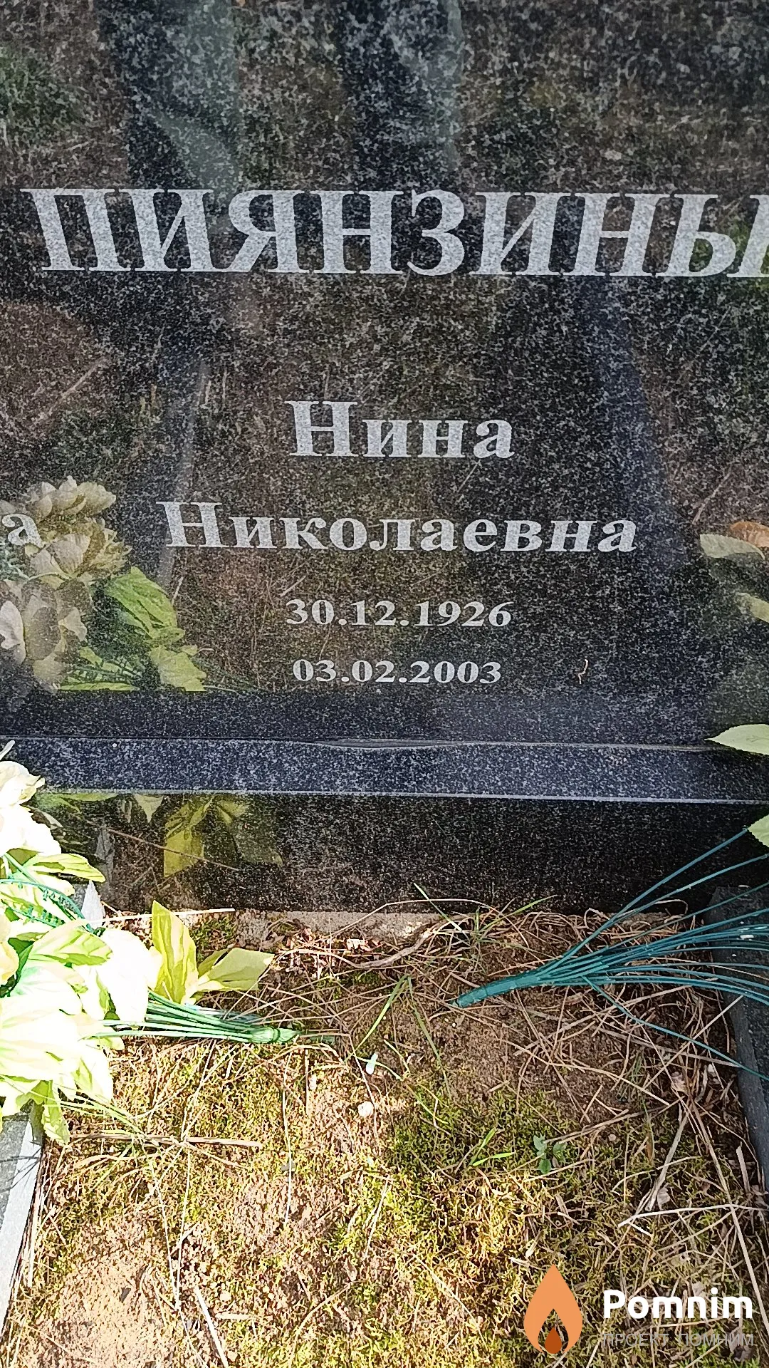 Пиянзина Нина Николаевна