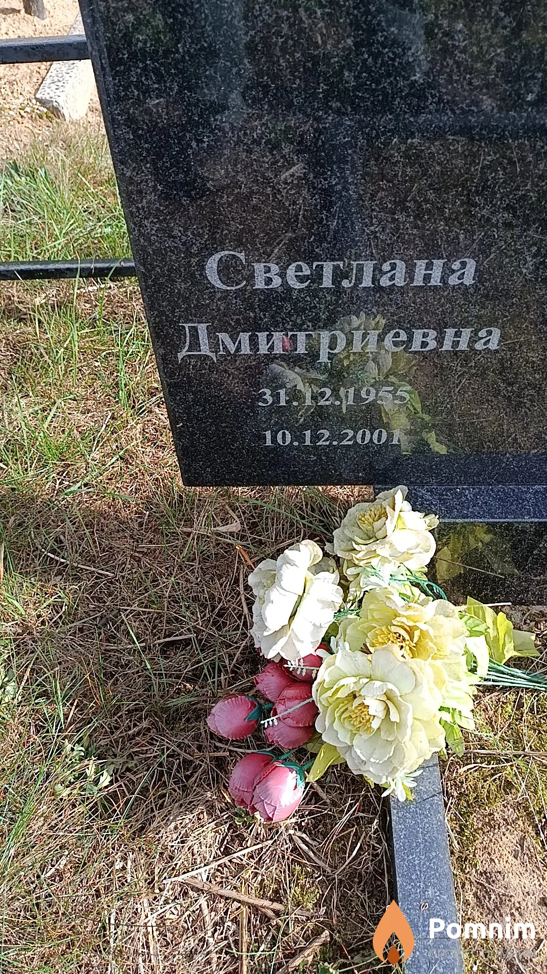 Пиянзина Светлана Дмитриевна