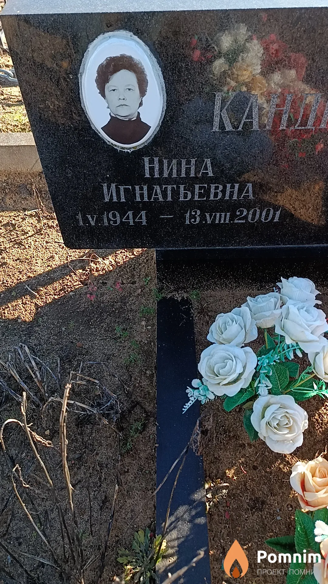 Кандиусик Нина Игнатьевна