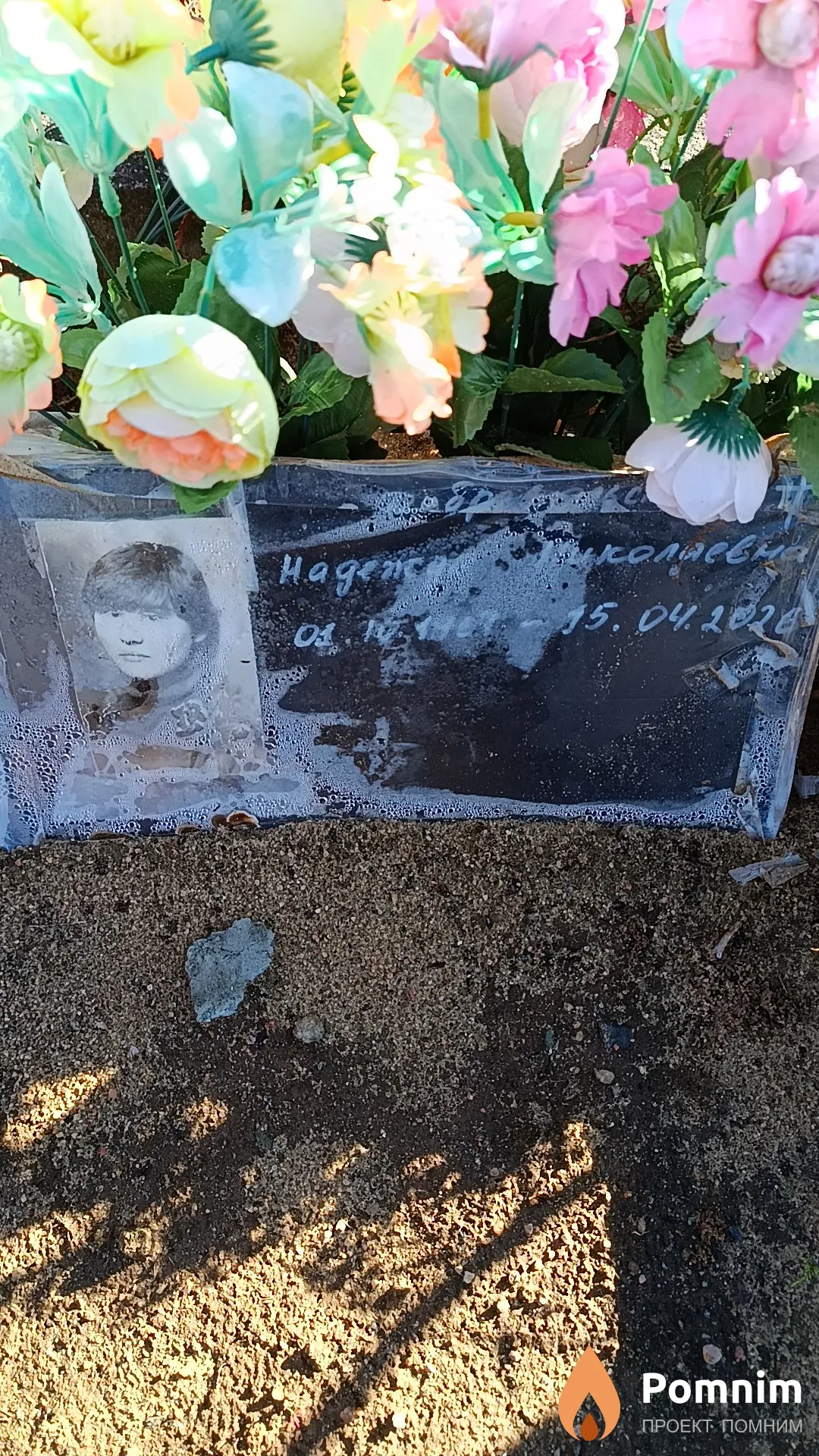 Добровольская Надежда Николаевна